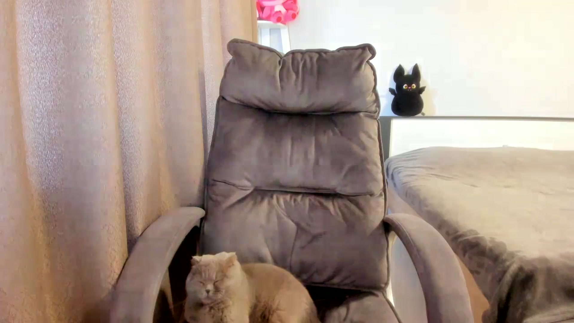 Gallery image thumbnail from Iam_Sasha's myfreecams stream on, 03/09/2026, 10:49 image 2 of 20