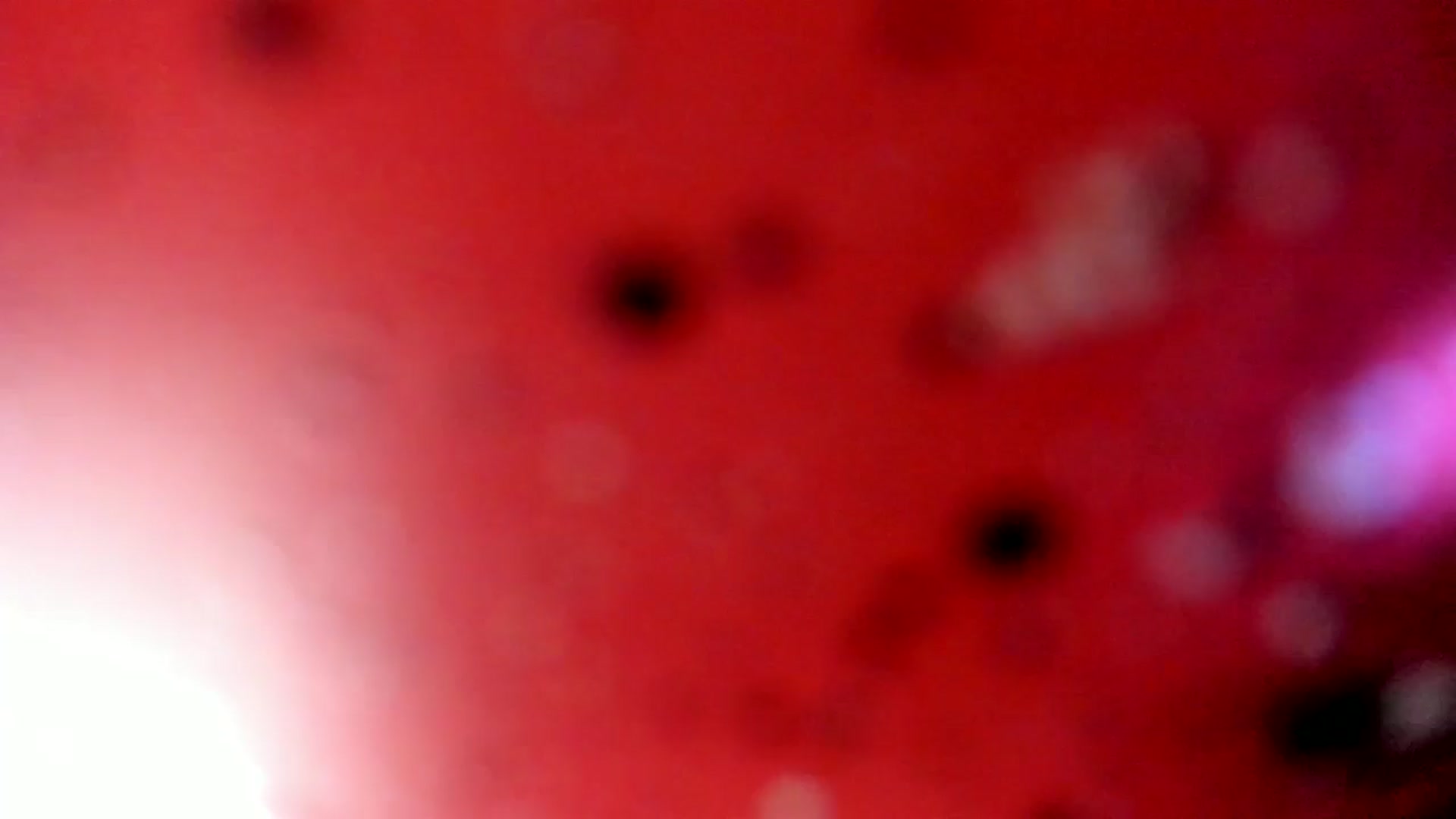 Gallery image thumbnail from Iam_Sasha's myfreecams stream on, 03/11/2026, 10:04 image 9 of 20