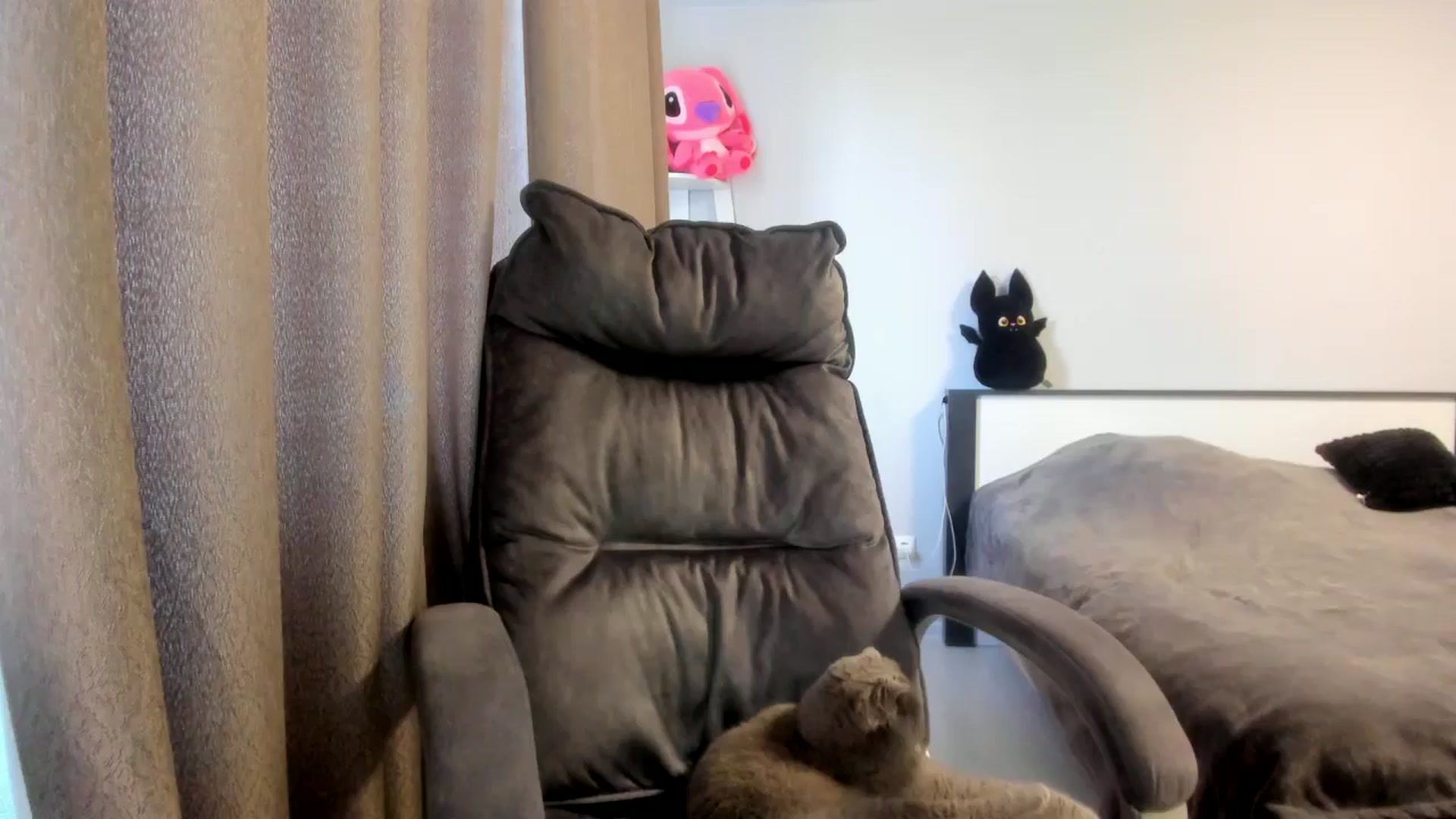 Gallery image thumbnail from Iam_Sasha's myfreecams stream on, 03/13/2026, 11:32 image 15 of 20