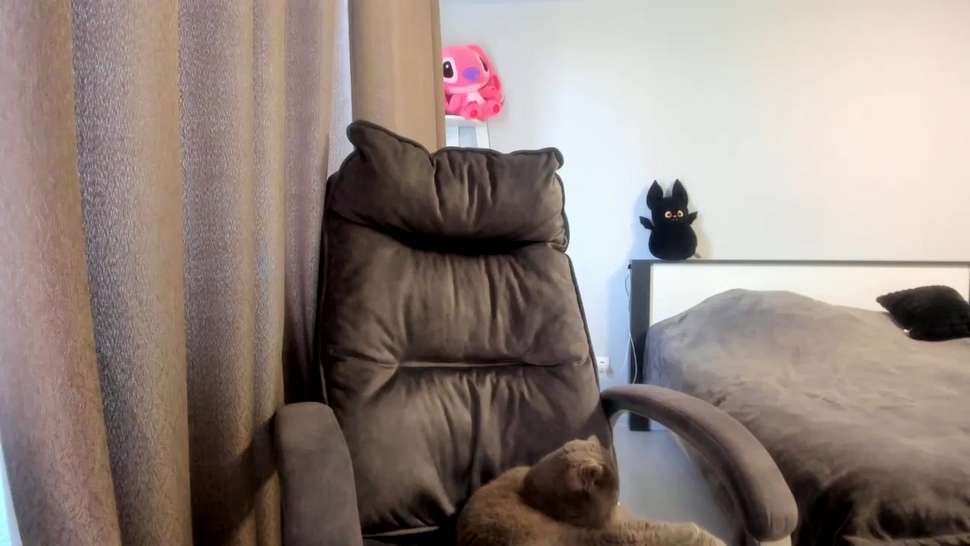 Gallery image thumbnail from Iam_Sasha's myfreecams stream on, 03/13/2026, 11:32 image 9 of 20