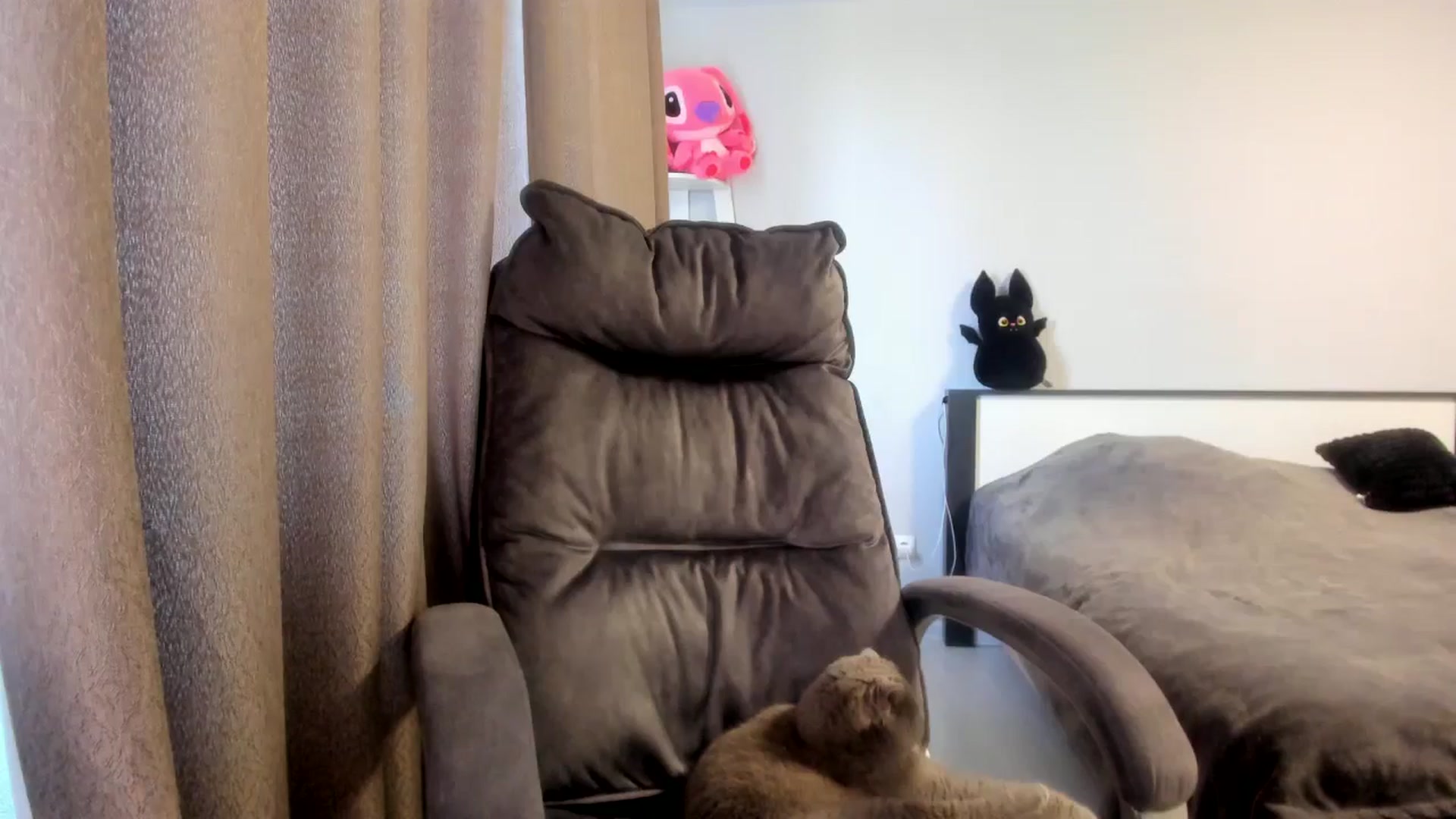 Gallery image thumbnail from Iam_Sasha's myfreecams stream on, 03/13/2026, 11:32 image 16 of 20