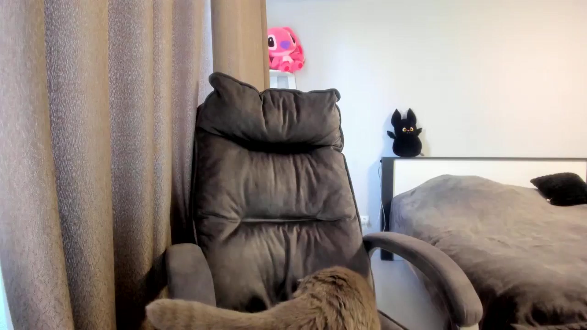 Gallery image thumbnail from Iam_Sasha's myfreecams stream on, 03/13/2026, 11:32 image 5 of 20