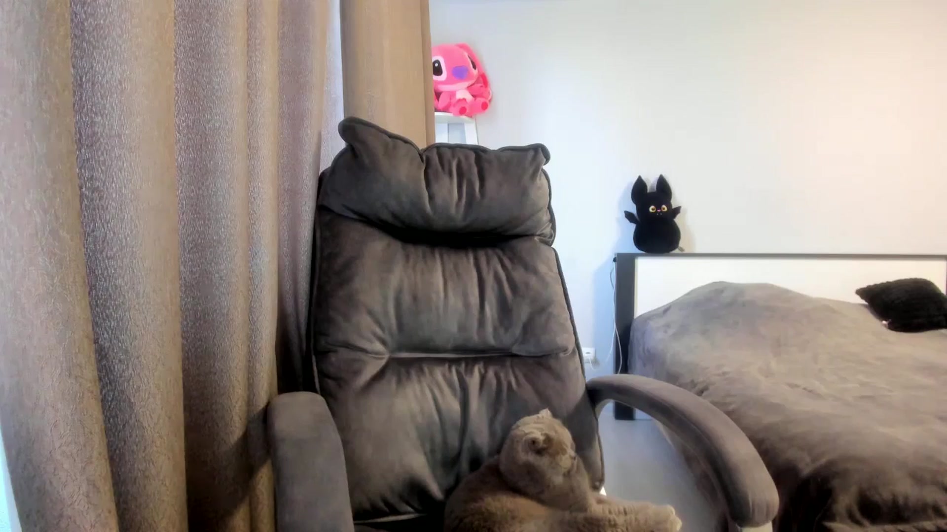 Gallery image thumbnail from Iam_Sasha's myfreecams stream on, 03/13/2026, 11:32 image 6 of 20