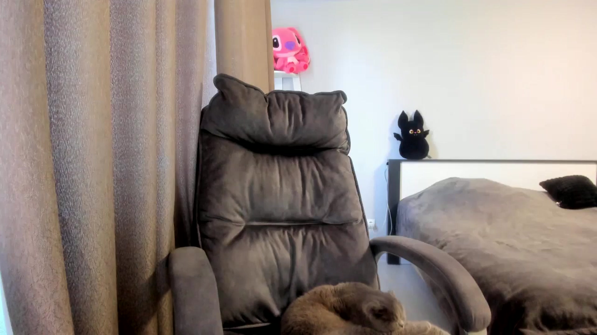 Gallery image thumbnail from Iam_Sasha's myfreecams stream on, 03/13/2026, 11:32 image 10 of 20