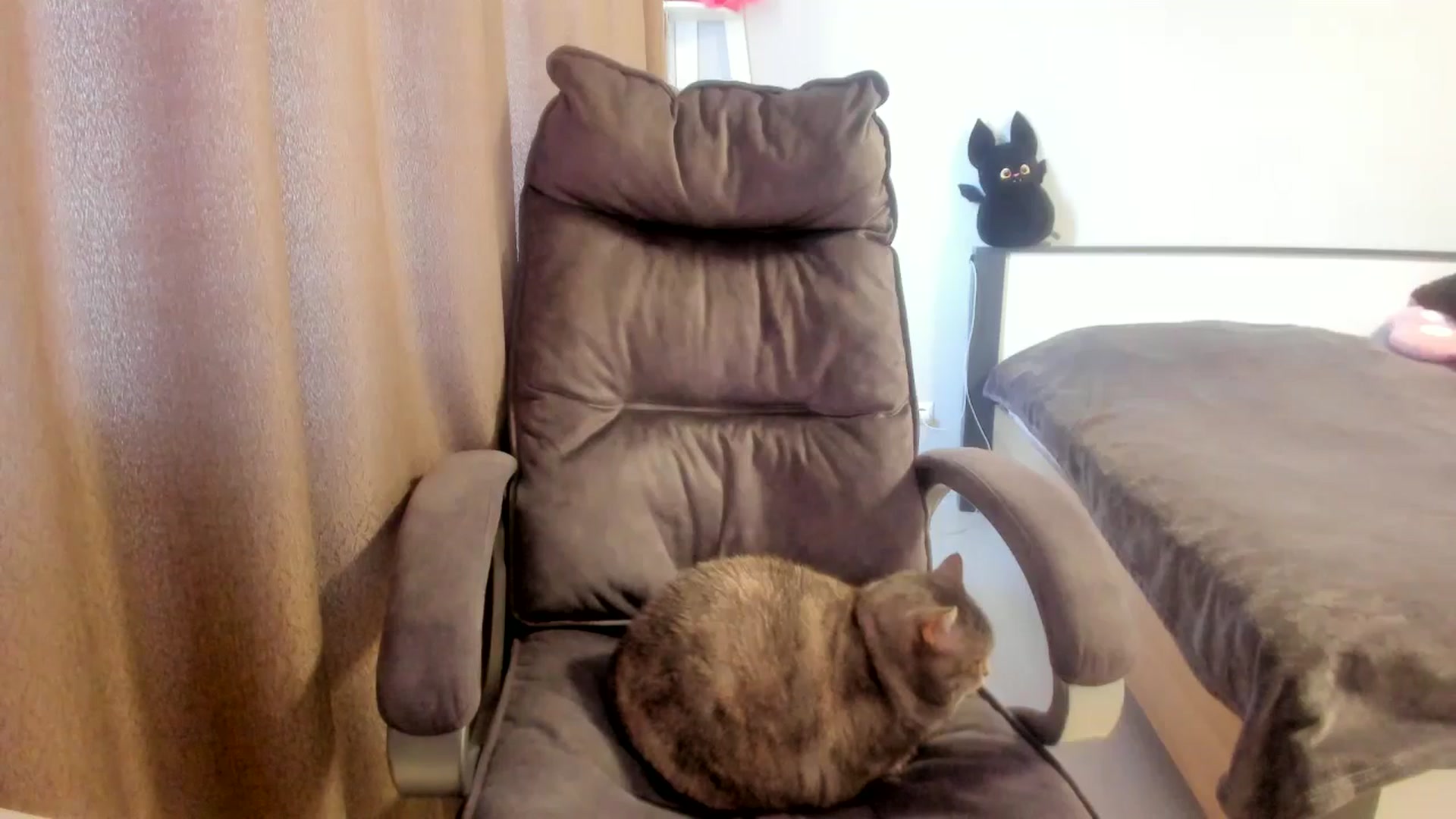 Gallery image thumbnail from Iam_Sasha's myfreecams stream on, 03/16/2026, 12:02 image 7 of 20