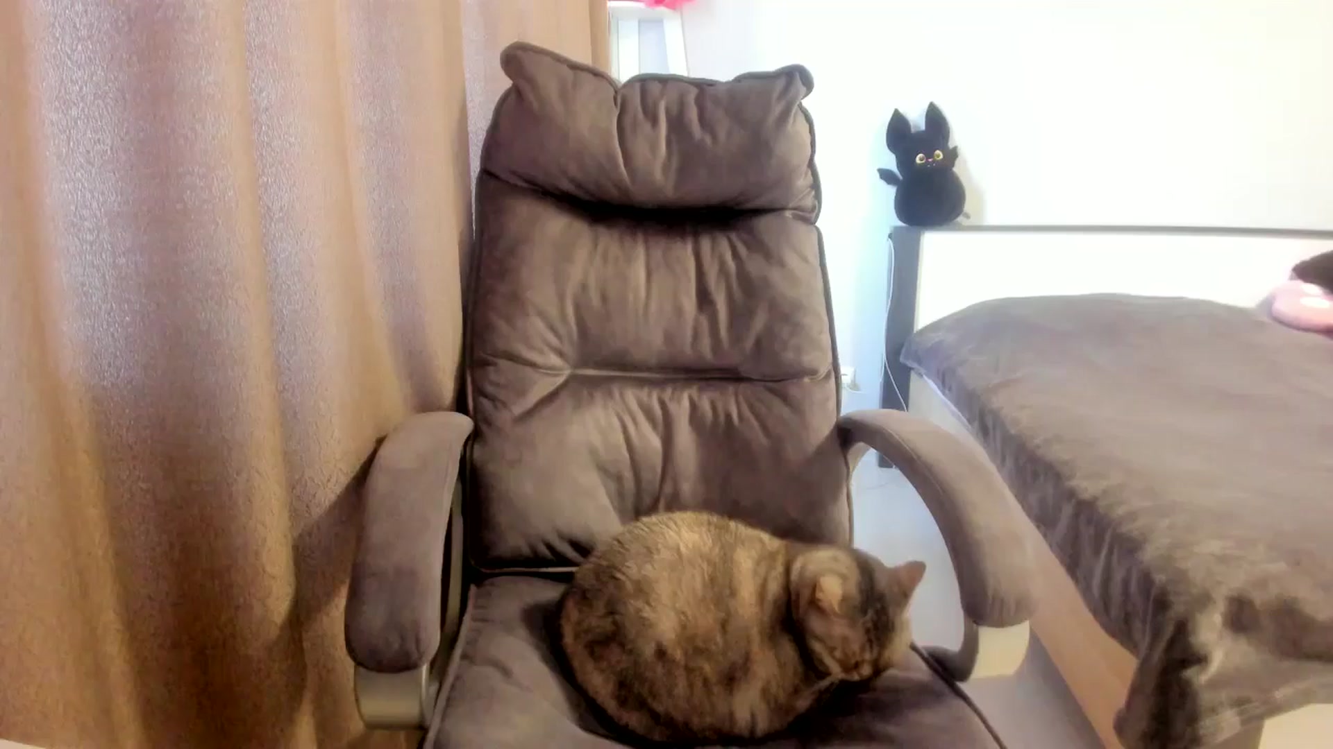 Gallery image thumbnail from Iam_Sasha's myfreecams stream on, 03/16/2026, 12:02 image 8 of 20