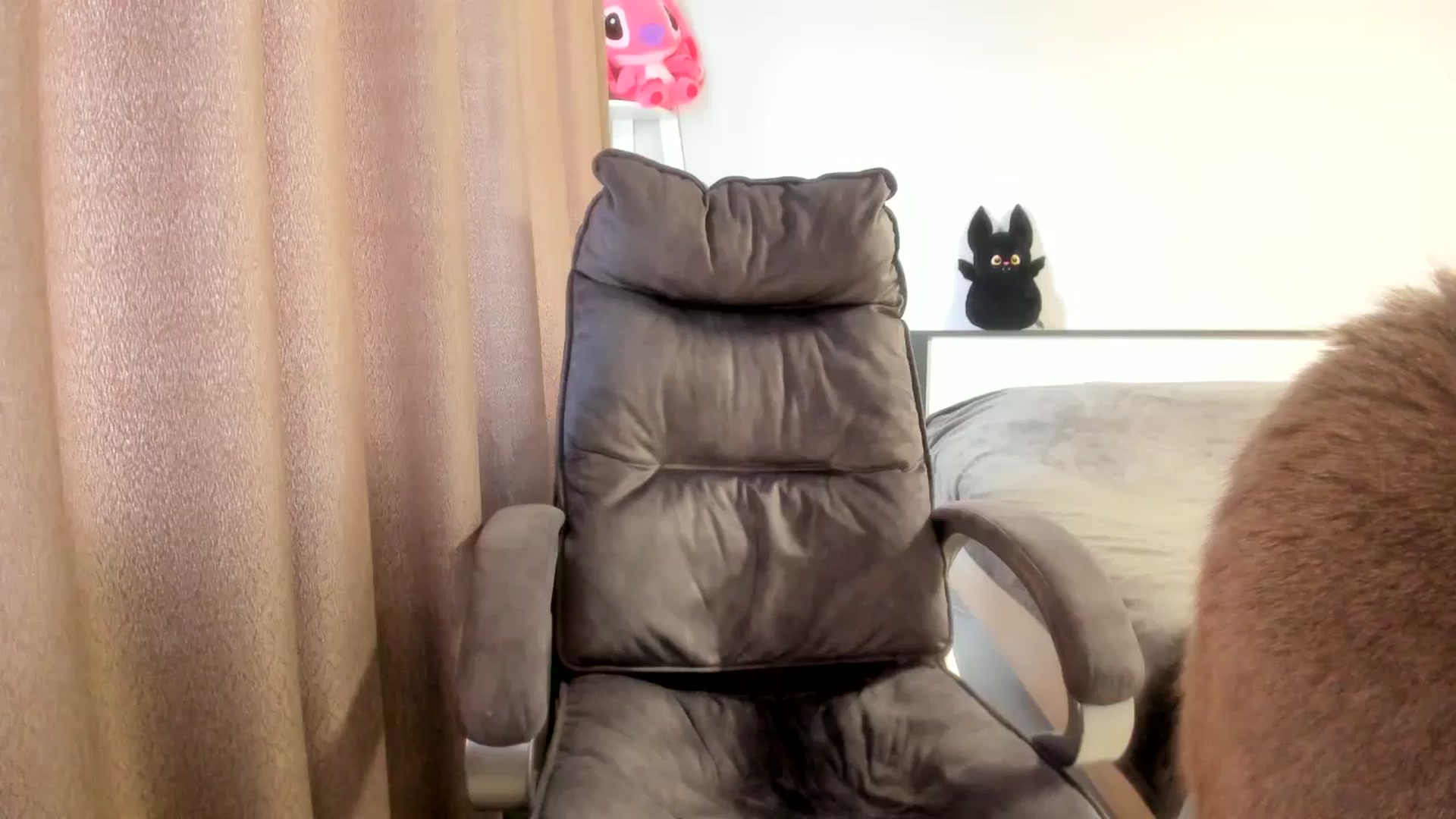 Gallery image thumbnail from Iam_Sasha's myfreecams stream on, 03/31/2026, 08:24 image 11 of 20
