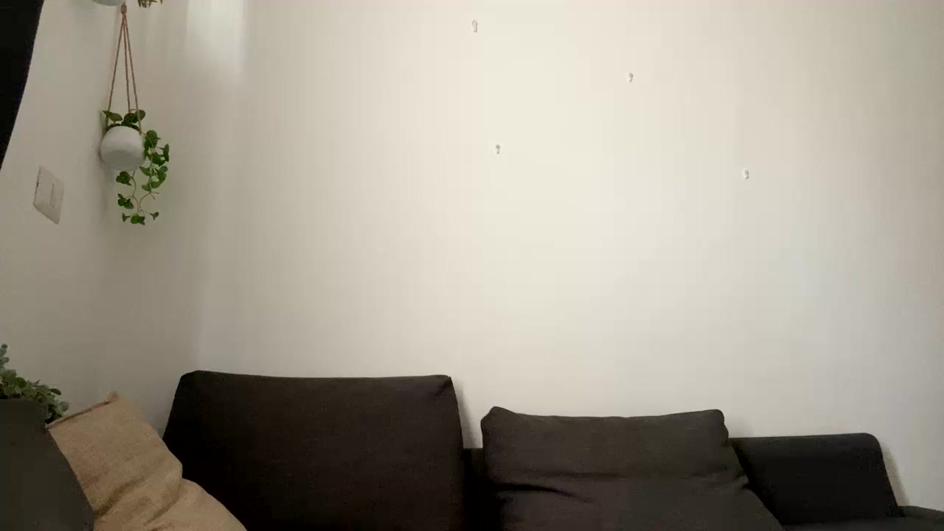 Gallery image thumbnail from Ice_Petal's myfreecams stream on, 11/17/2022, 17:57 image 6 of 20