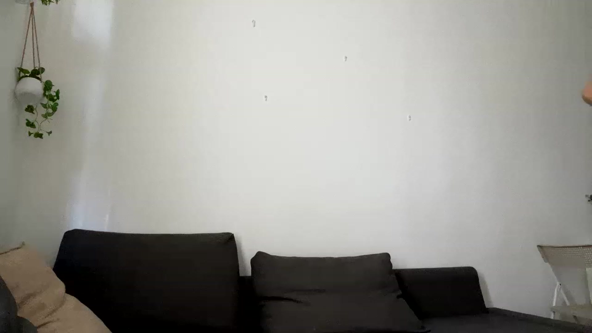 Gallery image thumbnail from Ice_Petal's myfreecams stream on, 11/18/2022, 01:37 image 3 of 20