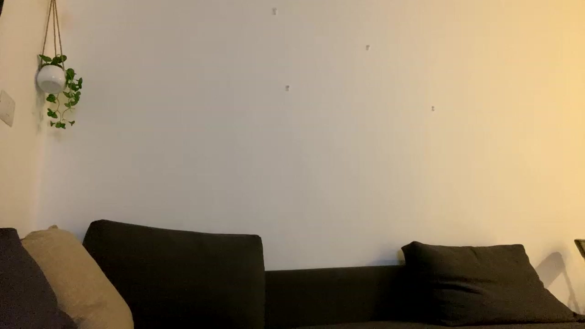 Gallery image thumbnail from Ice_Petal's myfreecams stream on, 11/22/2022, 01:19 image 8 of 20