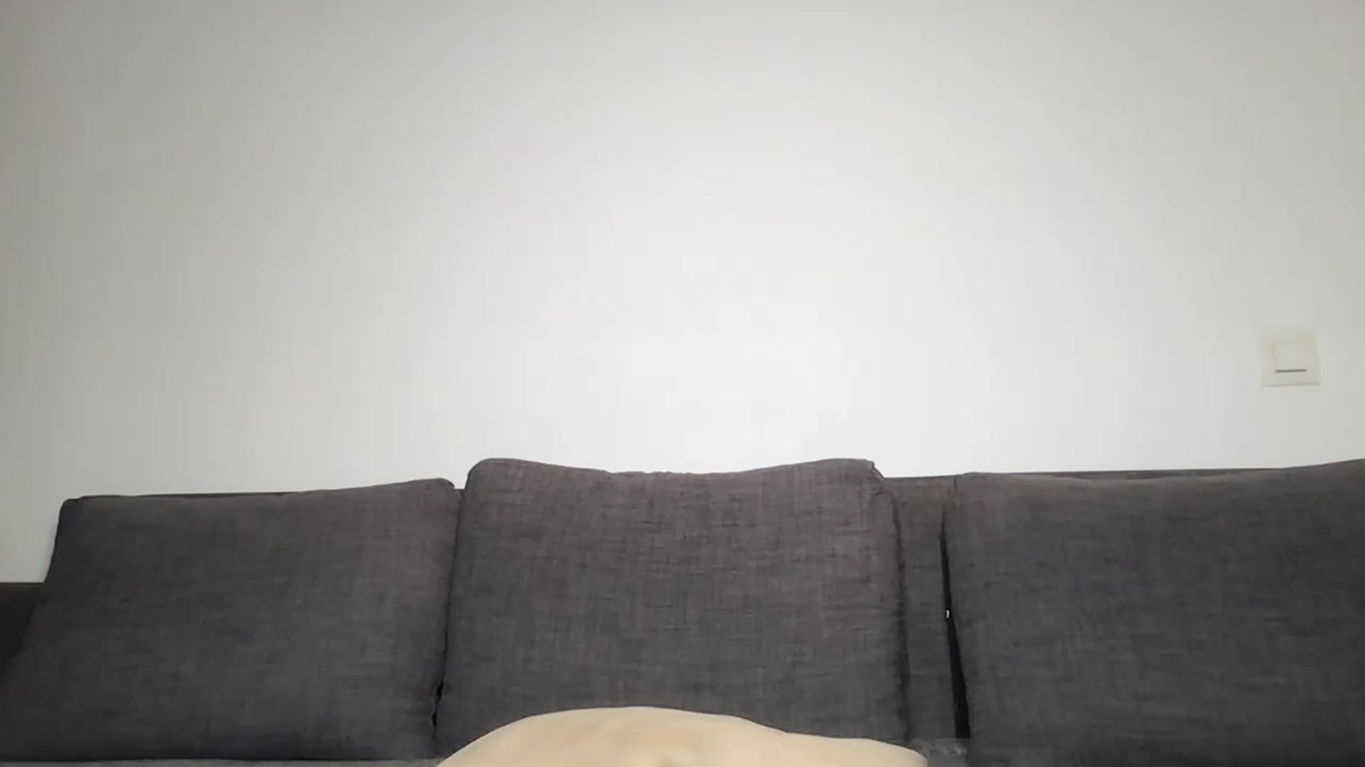 Gallery image thumbnail from Ichangedname's myfreecams stream on, 01/04/2026, 22:01 image 2 of 20