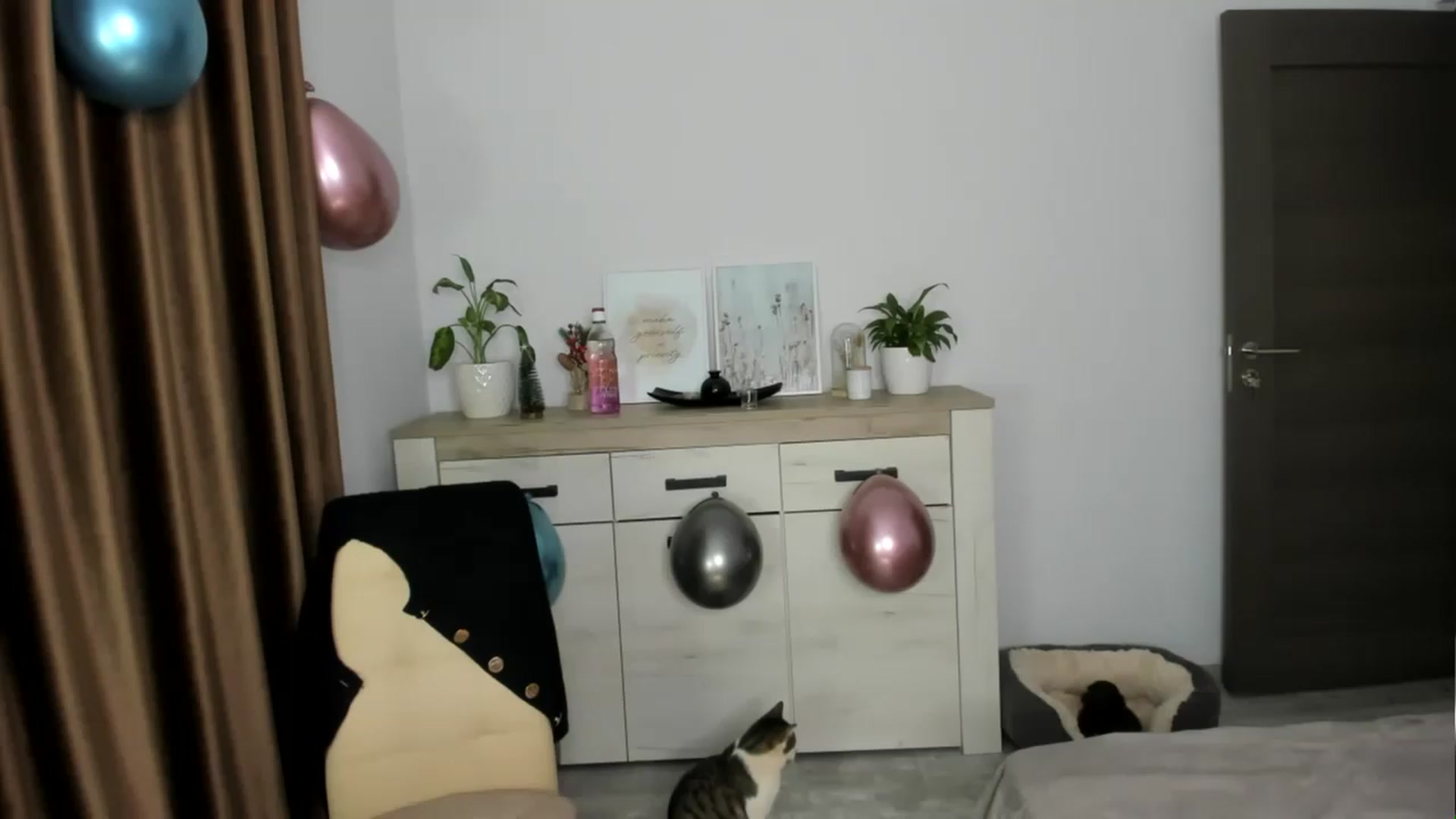 Gallery image thumbnail from ImAna_xo's myfreecams stream on, 12/23/2022, 21:31 image 12 of 20