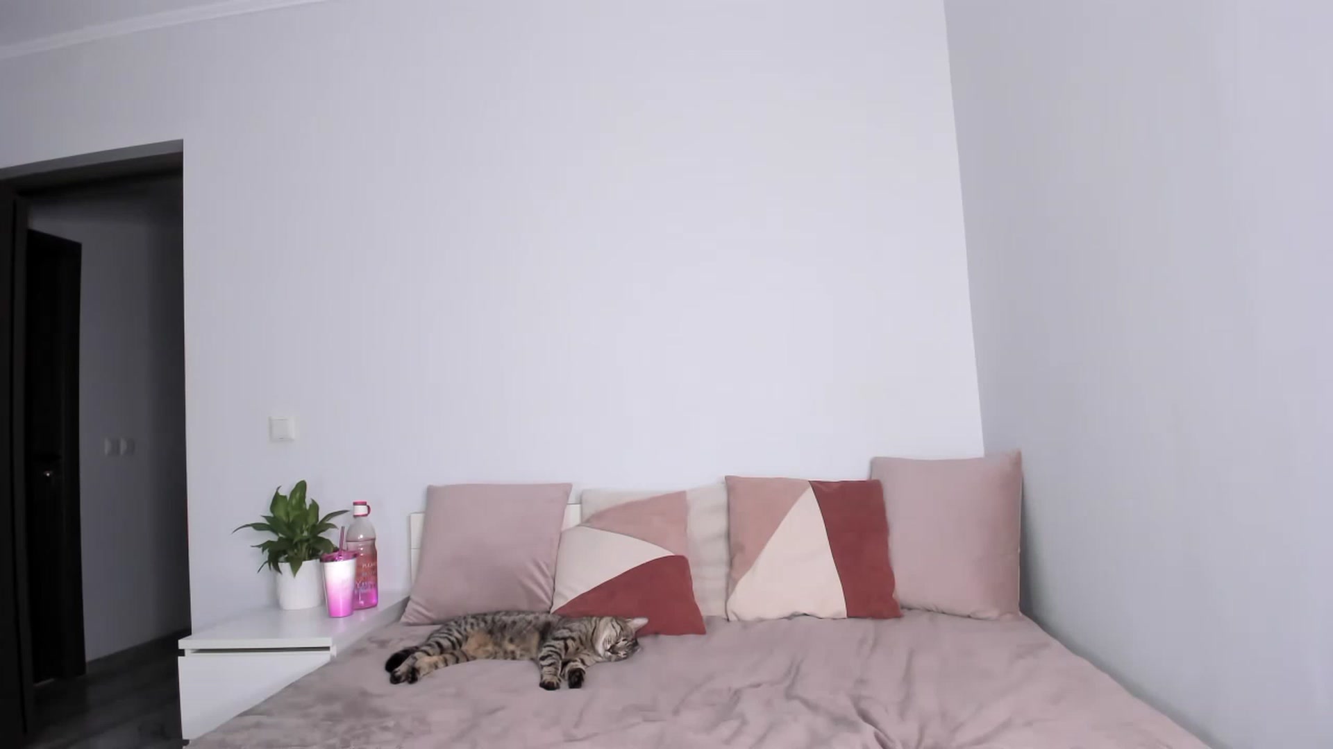 Gallery image thumbnail from ImAna_xo's myfreecams stream on, 02/05/2023, 19:32 image 11 of 20