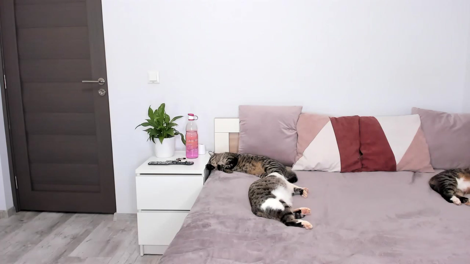 Gallery image thumbnail from ImAna_xo's myfreecams stream on, 02/09/2023, 19:06 image 5 of 20