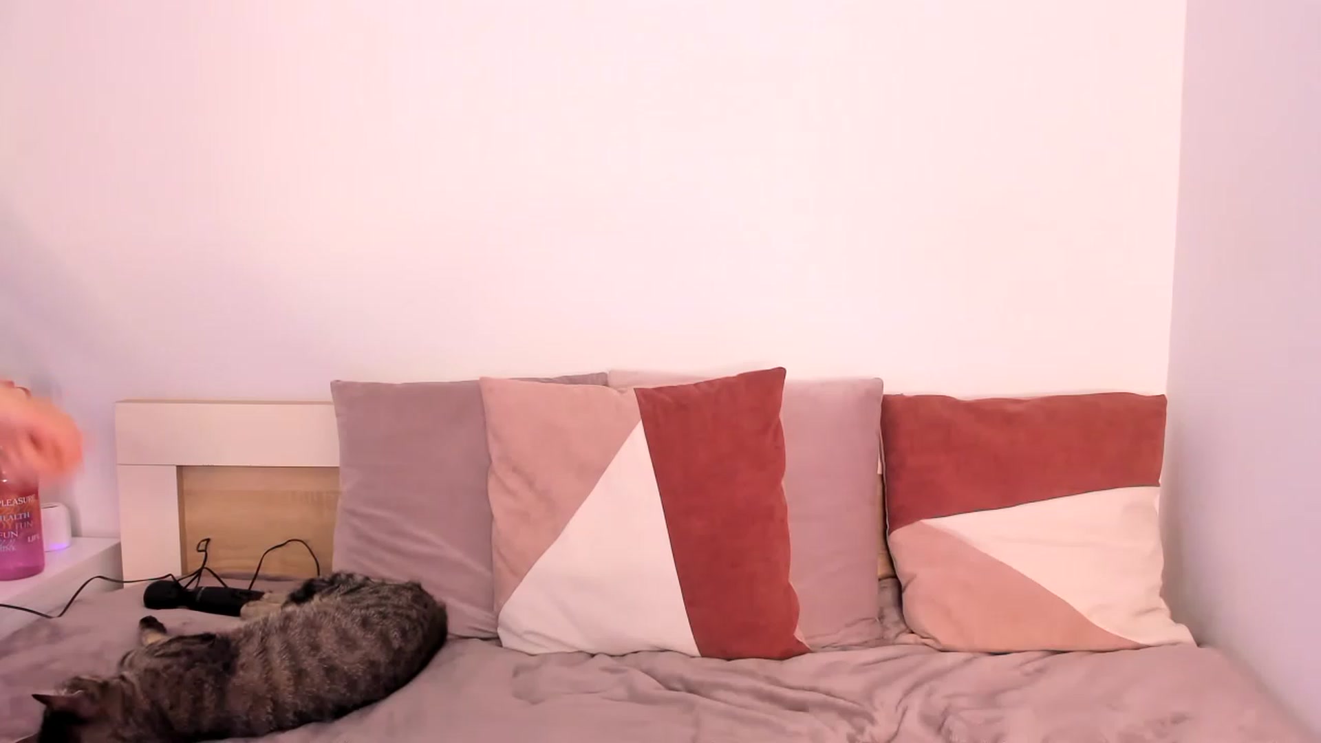 Gallery image thumbnail from ImAna_xo's myfreecams stream on, 03/12/2023, 20:05 image 11 of 20