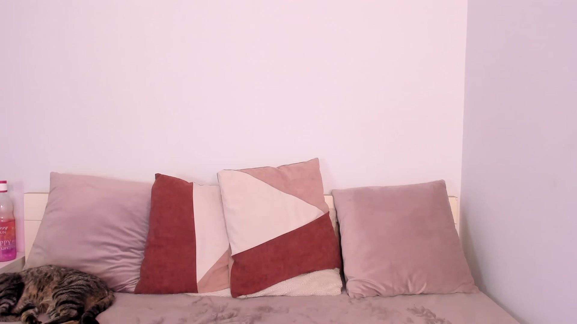 Gallery image thumbnail from ImAna_xo's myfreecams stream on, 03/13/2023, 18:37 image 19 of 20