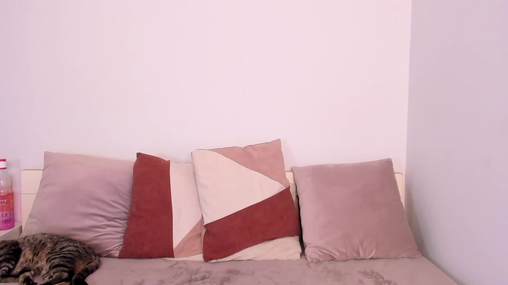 Gallery image thumbnail from ImAna_xo's myfreecams stream on, 03/13/2023, 18:37 image 18 of 20