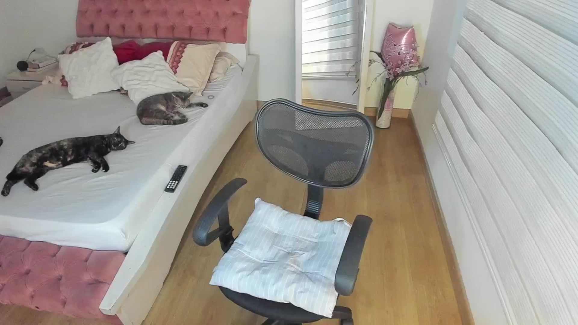 Gallery image thumbnail from ImBella_'s myfreecams stream on, 12/16/2025, 18:31 image 20 of 20