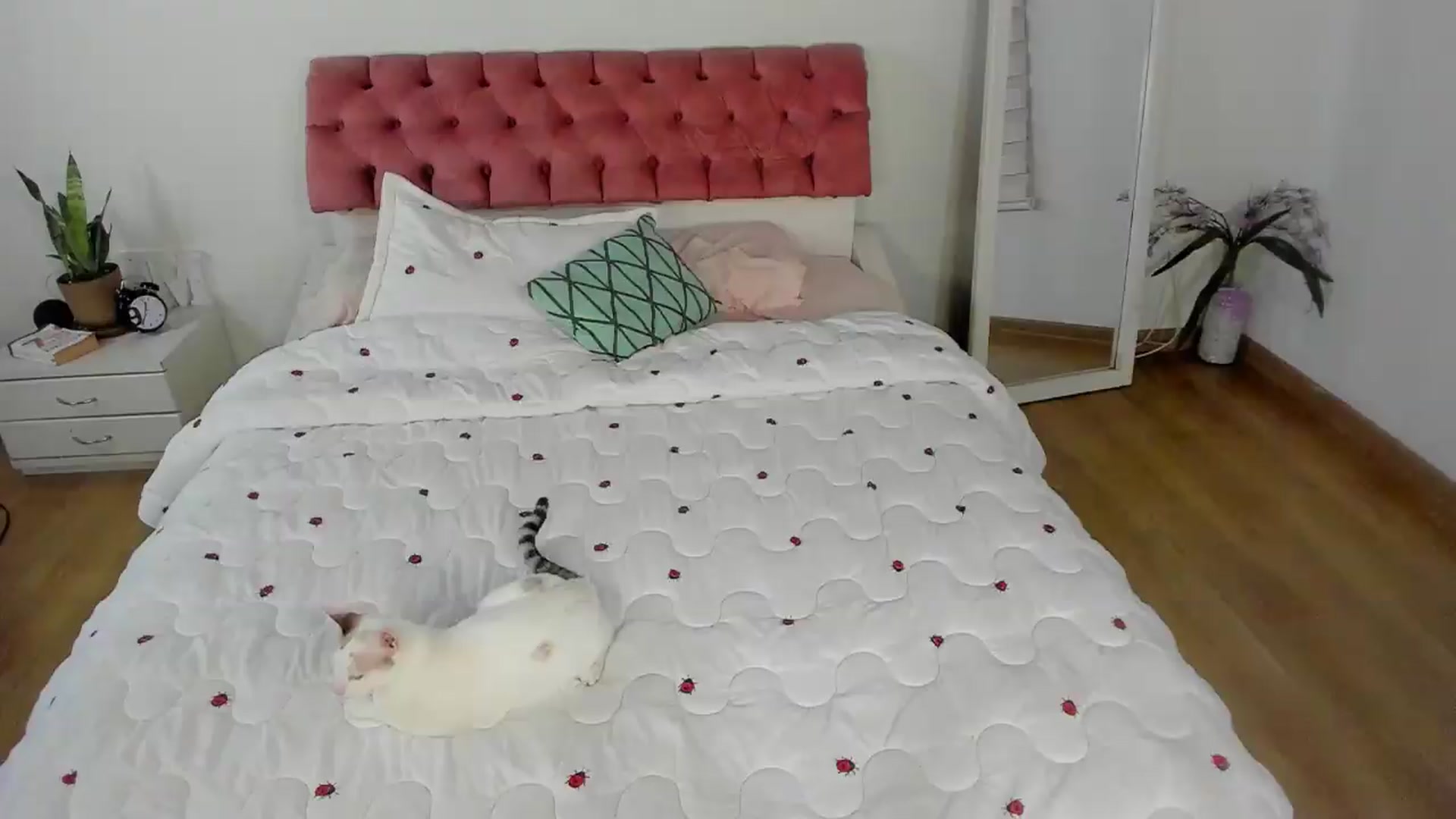 Gallery image thumbnail from ImBella_'s myfreecams stream on, 07/16/2026, 17:35 image 16 of 20