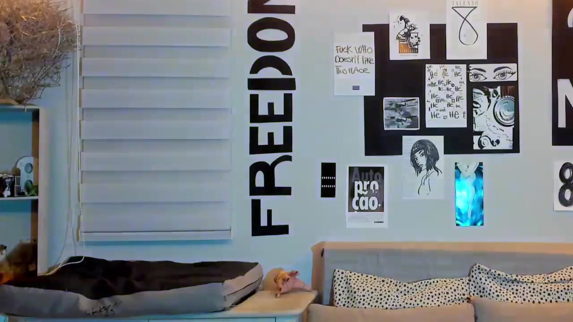 Gallery image thumbnail from ImFreedom's myfreecams stream on, 02/02/2024, 02:03 image 8 of 20