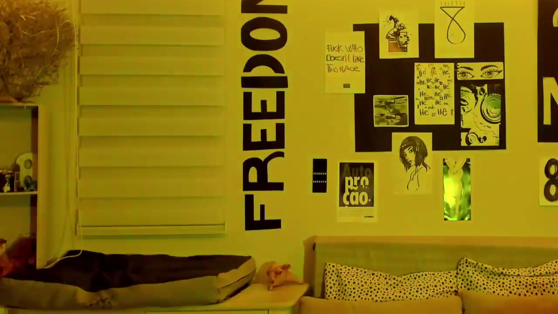 Gallery image thumbnail from ImFreedom's myfreecams stream on, 02/02/2024, 02:03 image 9 of 20