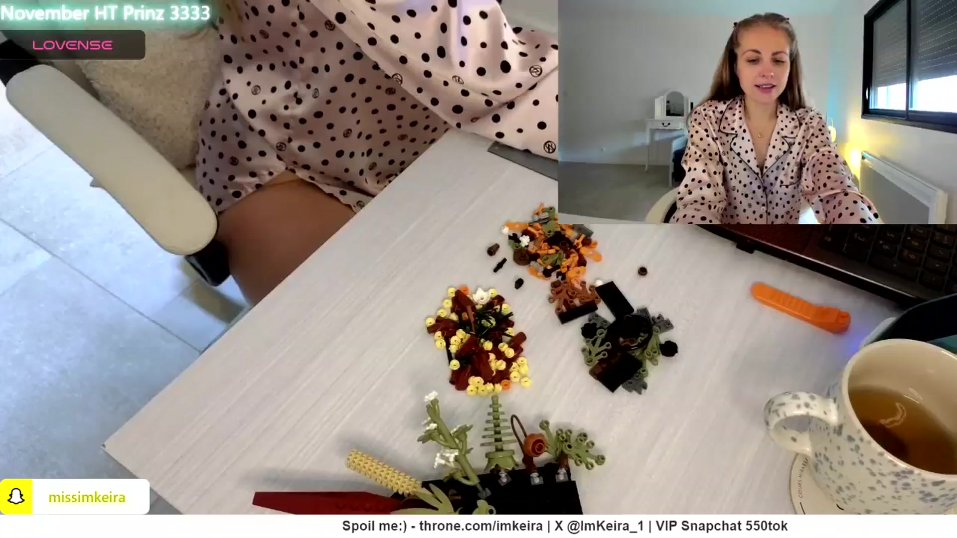 Gallery image thumbnail from ImKeira's myfreecams stream on, 11/24/2024, 10:21 image 19 of 20