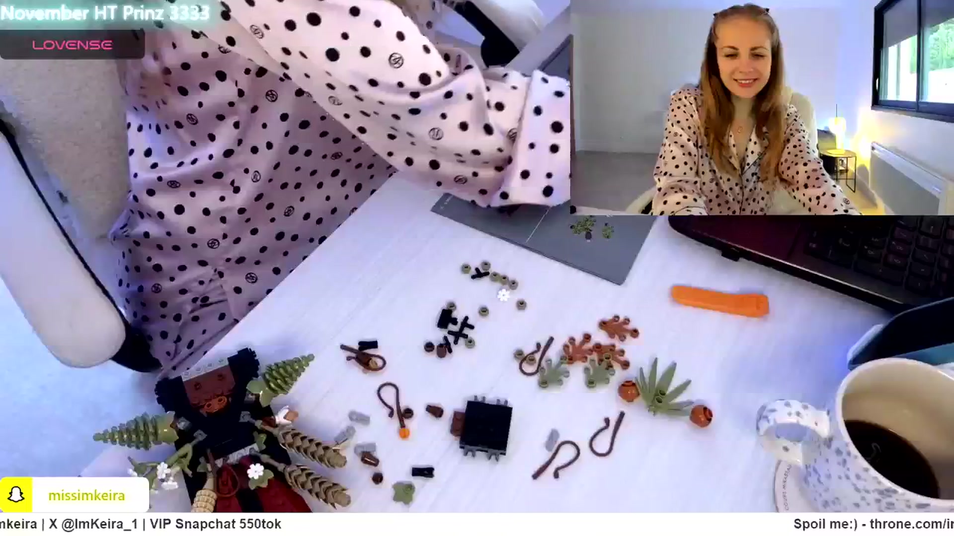 Gallery image thumbnail from ImKeira's myfreecams stream on, 11/24/2024, 10:21 image 10 of 20