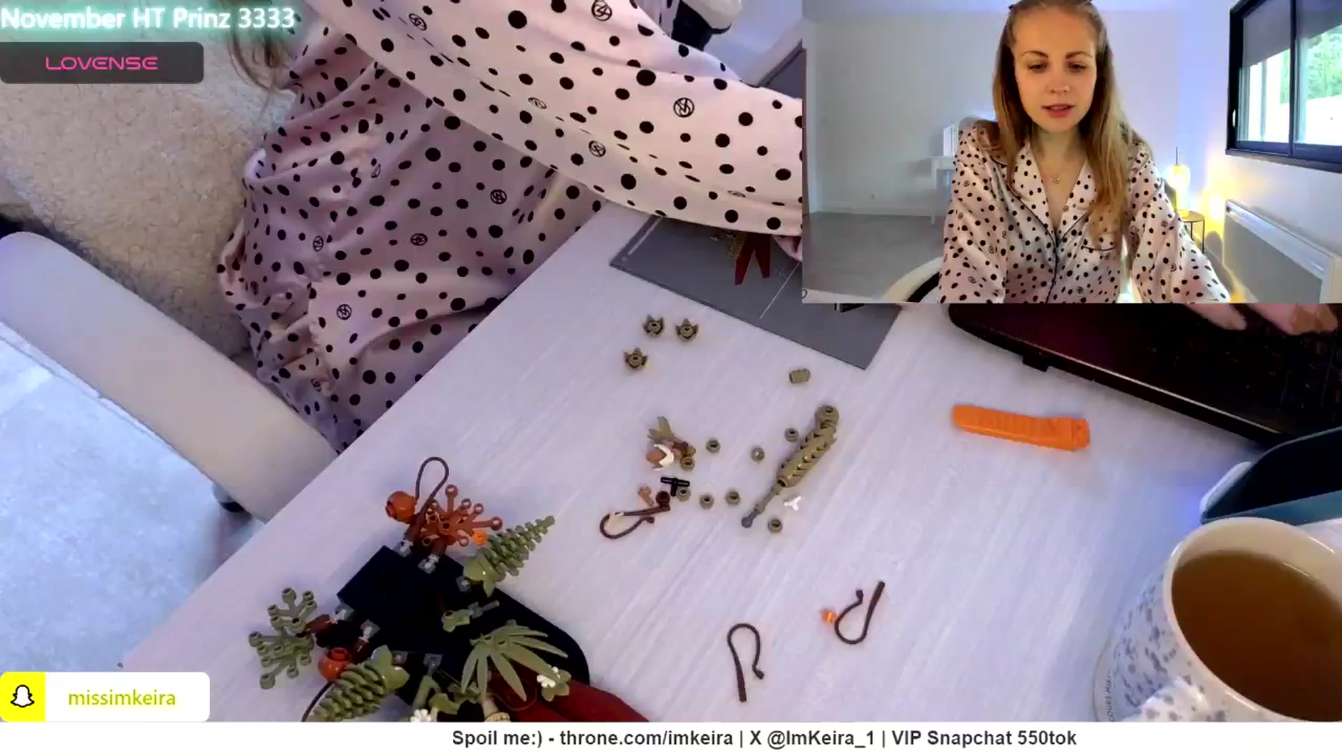 Gallery image thumbnail from ImKeira's myfreecams stream on, 11/24/2024, 10:21 image 13 of 20