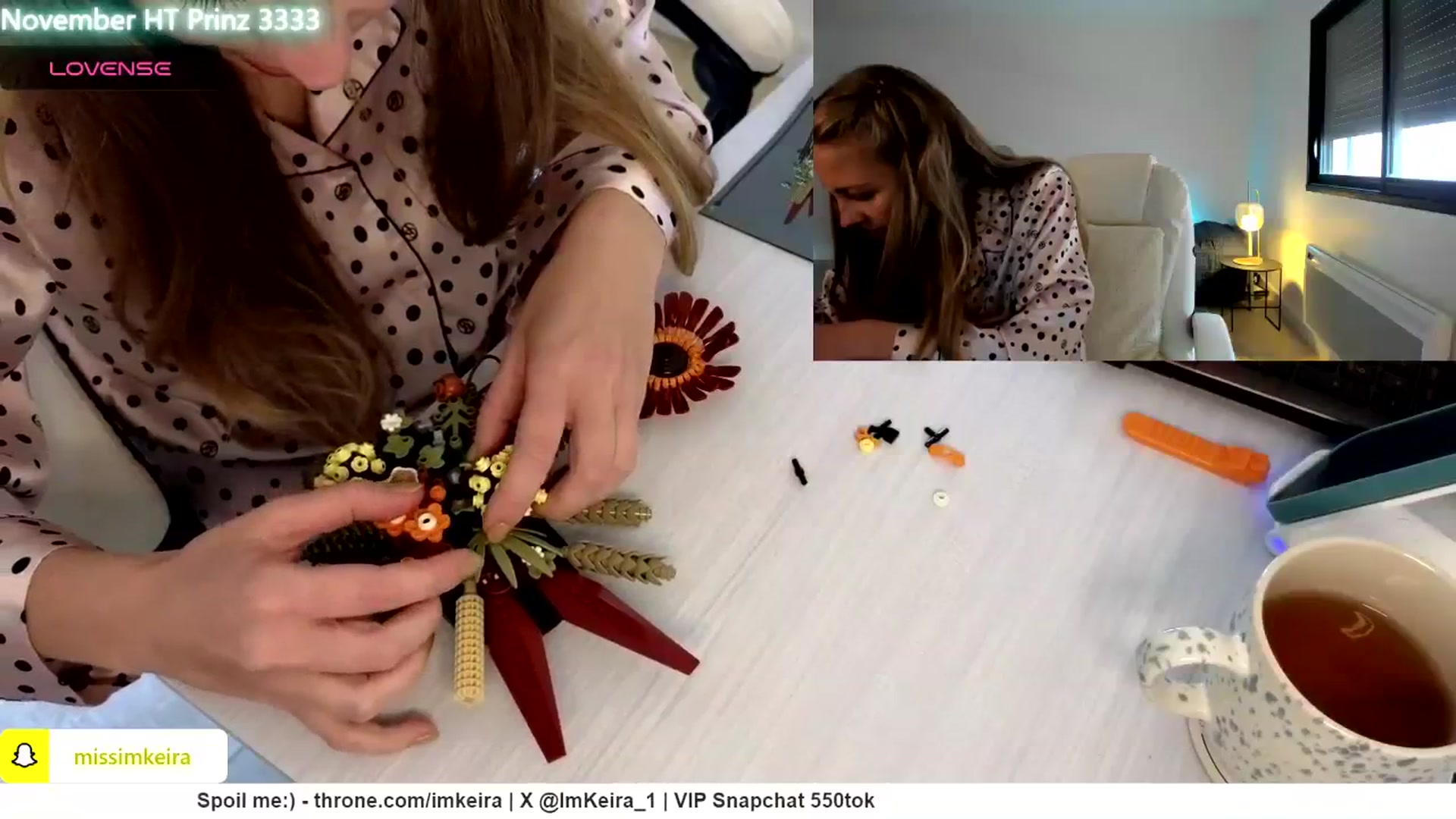 Gallery image thumbnail from ImKeira's myfreecams stream on, 11/24/2024, 11:32 image 19 of 20