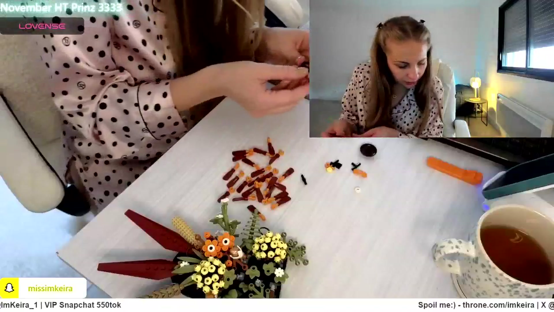 Gallery image thumbnail from ImKeira's myfreecams stream on, 11/24/2024, 11:32 image 18 of 20