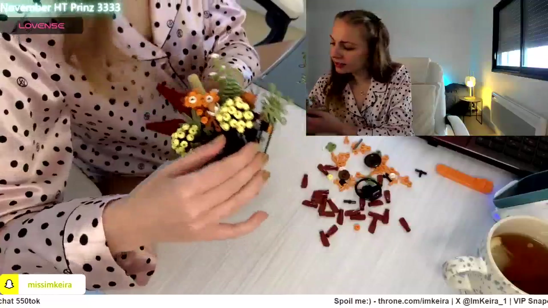 Gallery image thumbnail from ImKeira's myfreecams stream on, 11/24/2024, 11:32 image 15 of 20