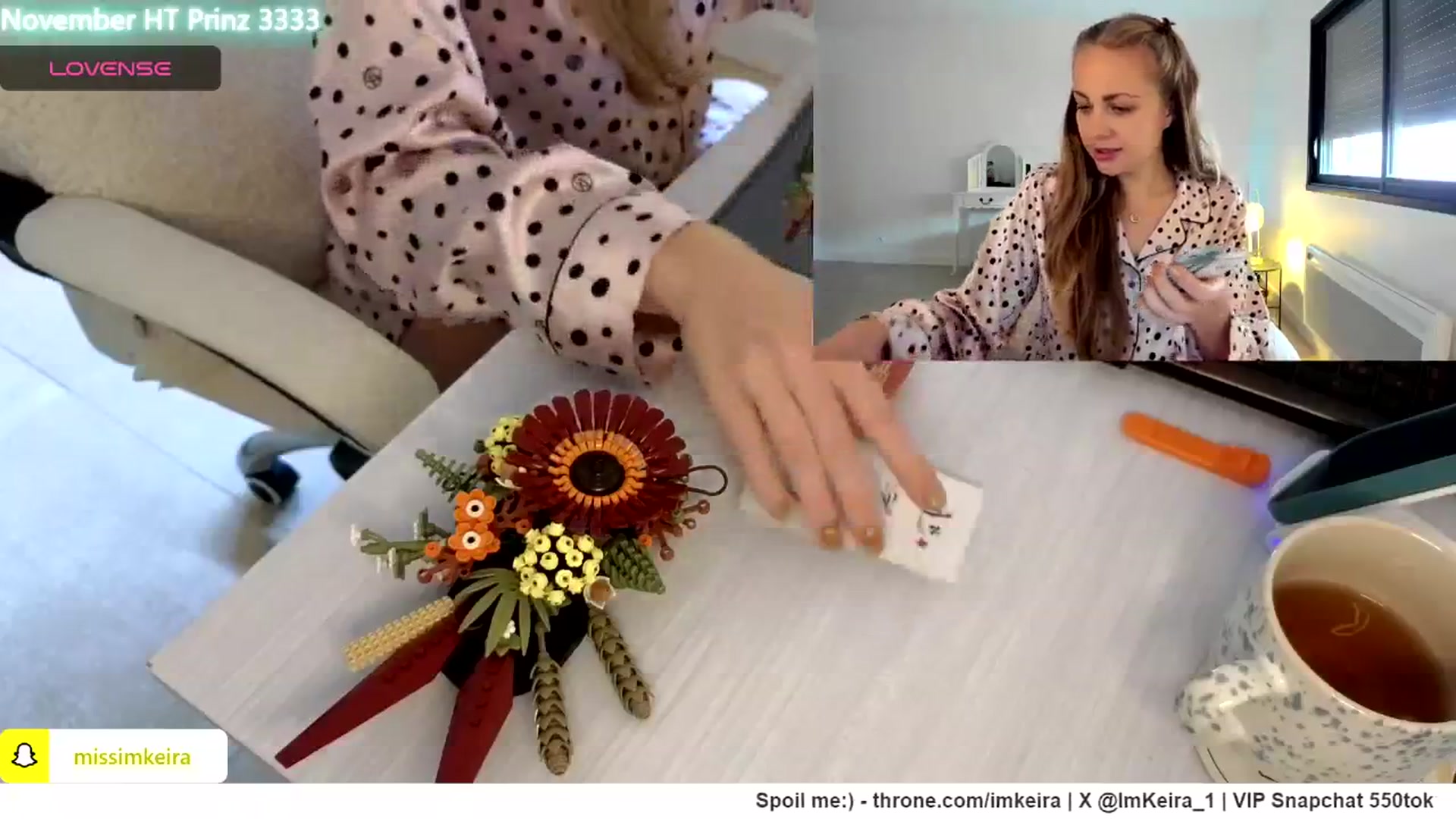 Gallery image thumbnail from ImKeira's myfreecams stream on, 11/24/2024, 11:32 image 20 of 20