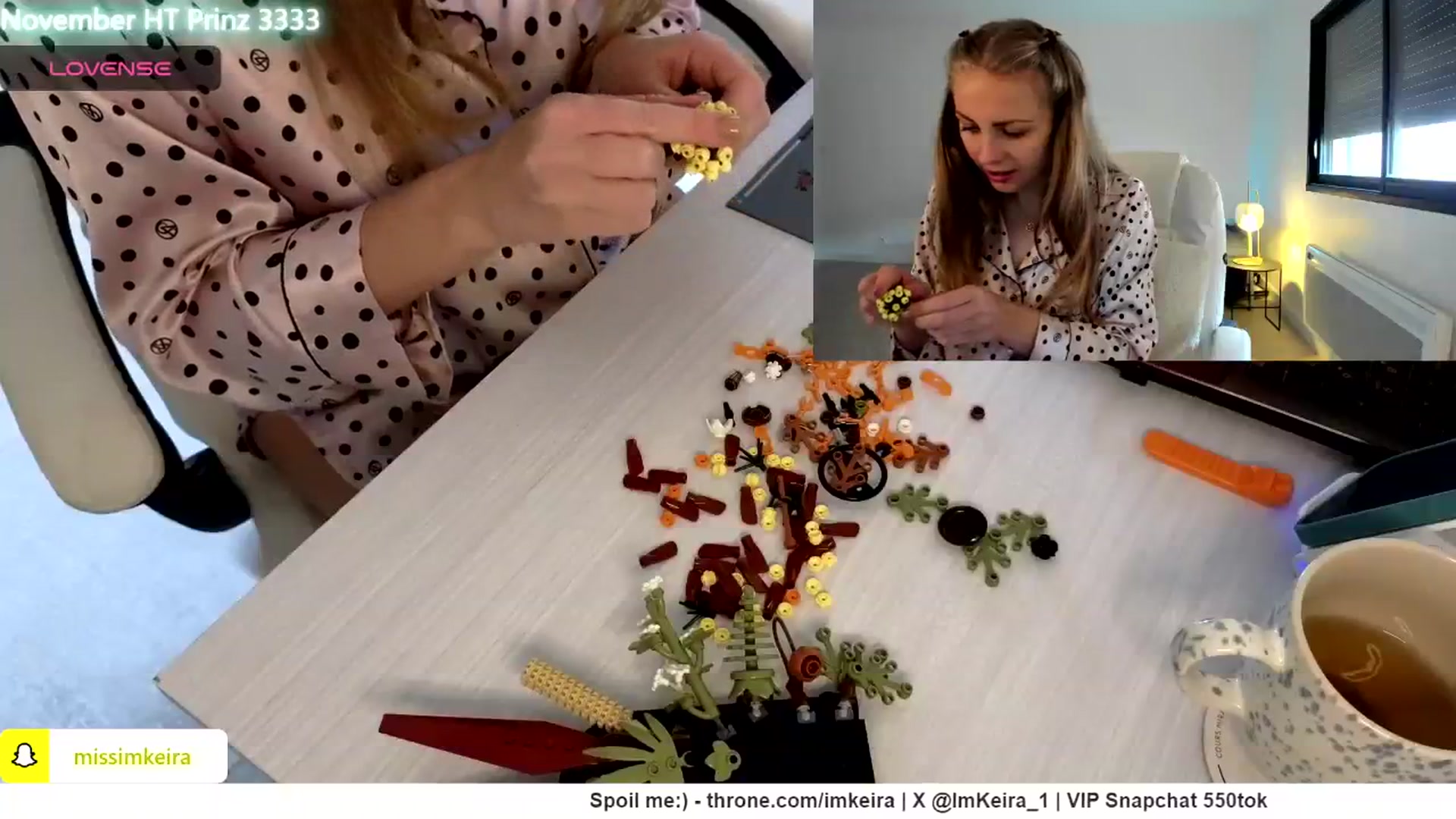 Gallery image thumbnail from ImKeira's myfreecams stream on, 11/24/2024, 11:32 image 4 of 20