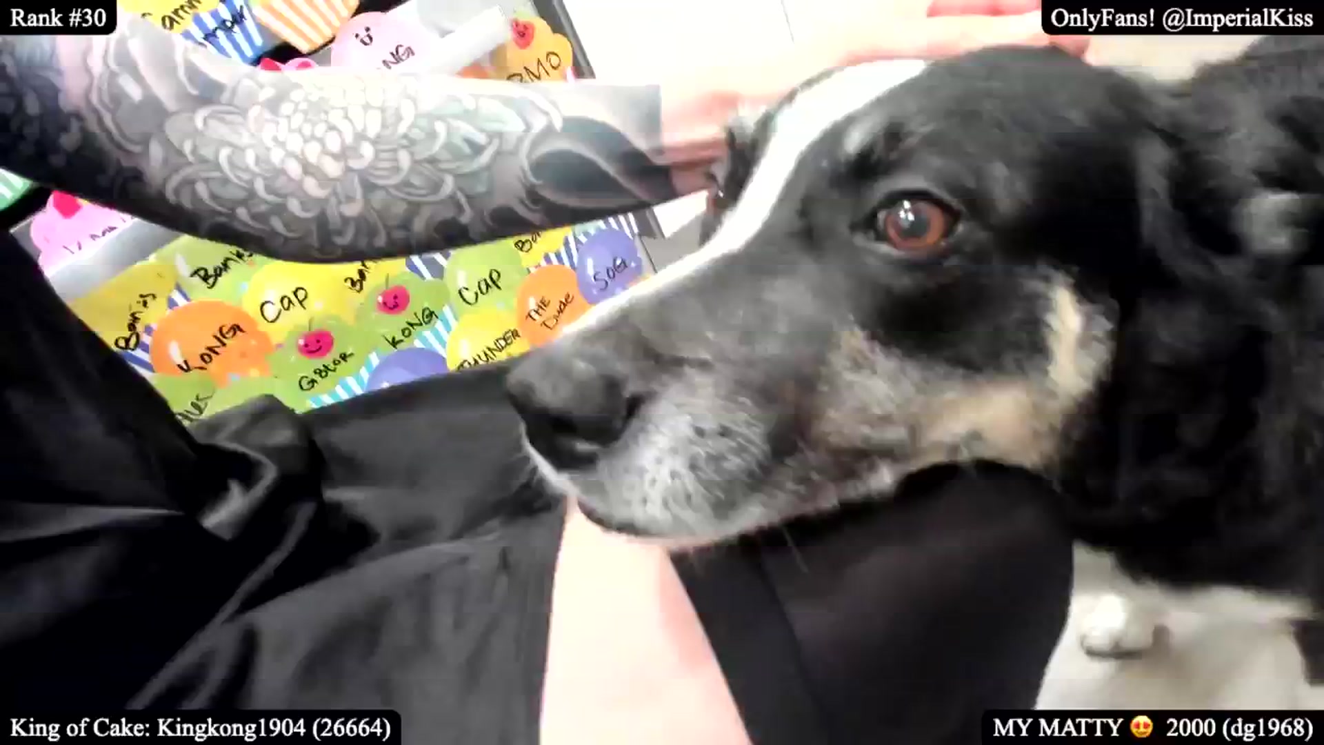 Gallery image thumbnail from ImperialBday's myfreecams stream on, 03/27/2025, 05:29 image 10 of 20