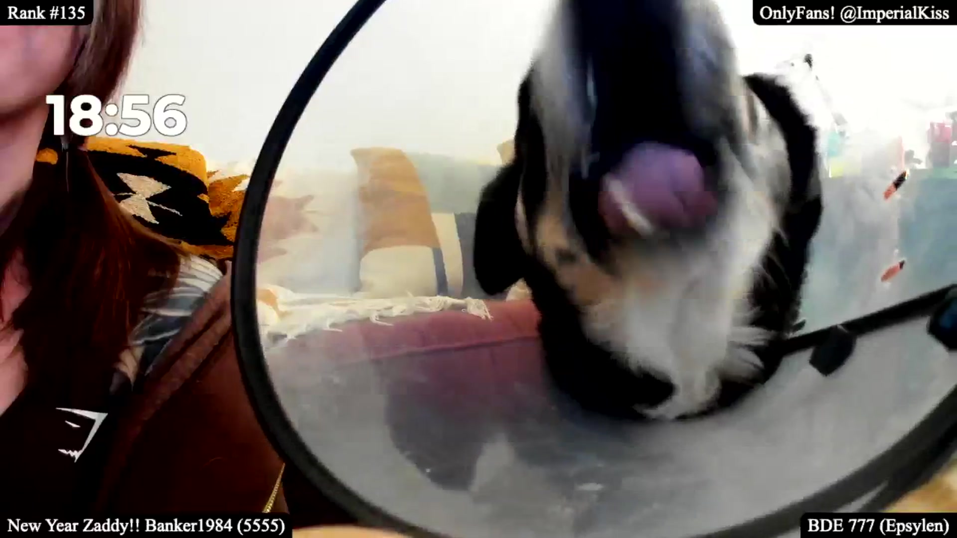 Gallery image thumbnail from ImperialKiss's myfreecams stream on, 01/17/2025, 05:48 image 3 of 20