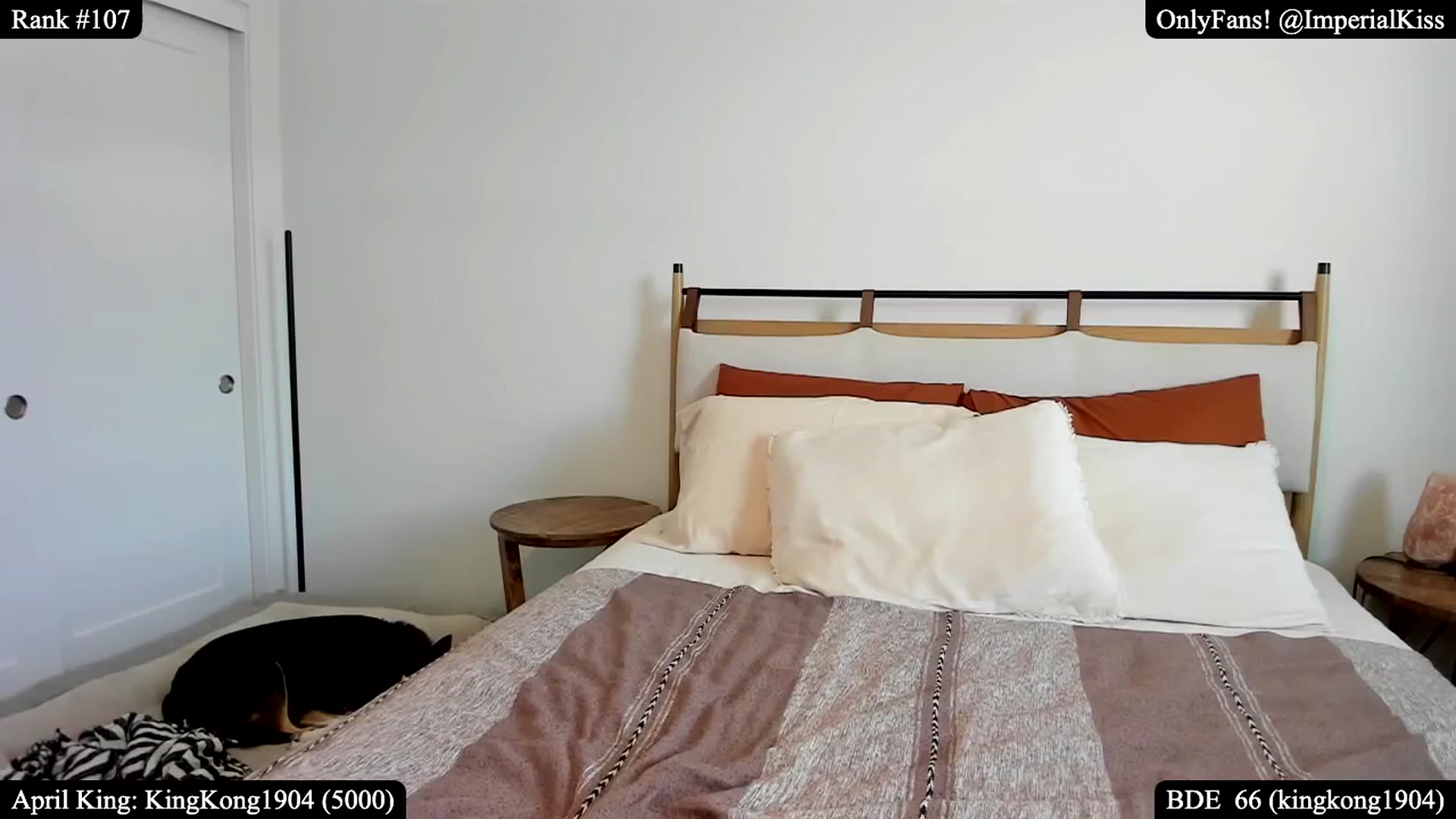 Gallery image thumbnail from ImperialKiss's myfreecams stream on, 04/18/2025, 22:32 image 1 of 20