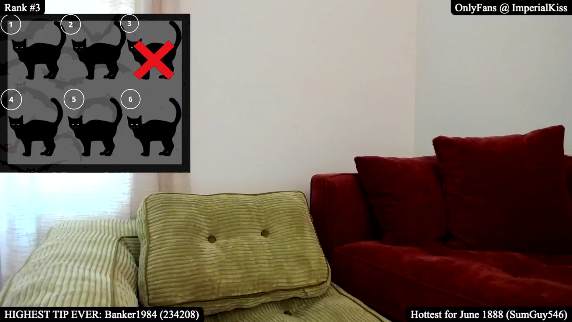Gallery image thumbnail from ImperialKiss's myfreecams stream on, 06/14/2025, 24:02 image 12 of 20