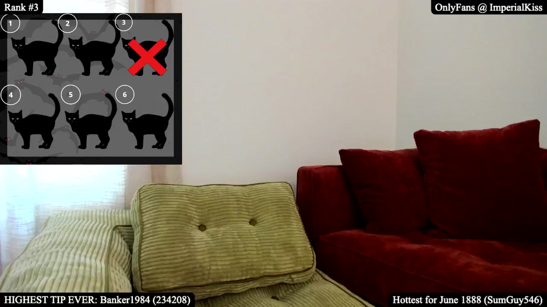 Gallery image thumbnail from ImperialKiss's myfreecams stream on, 06/14/2025, 24:02 image 13 of 20