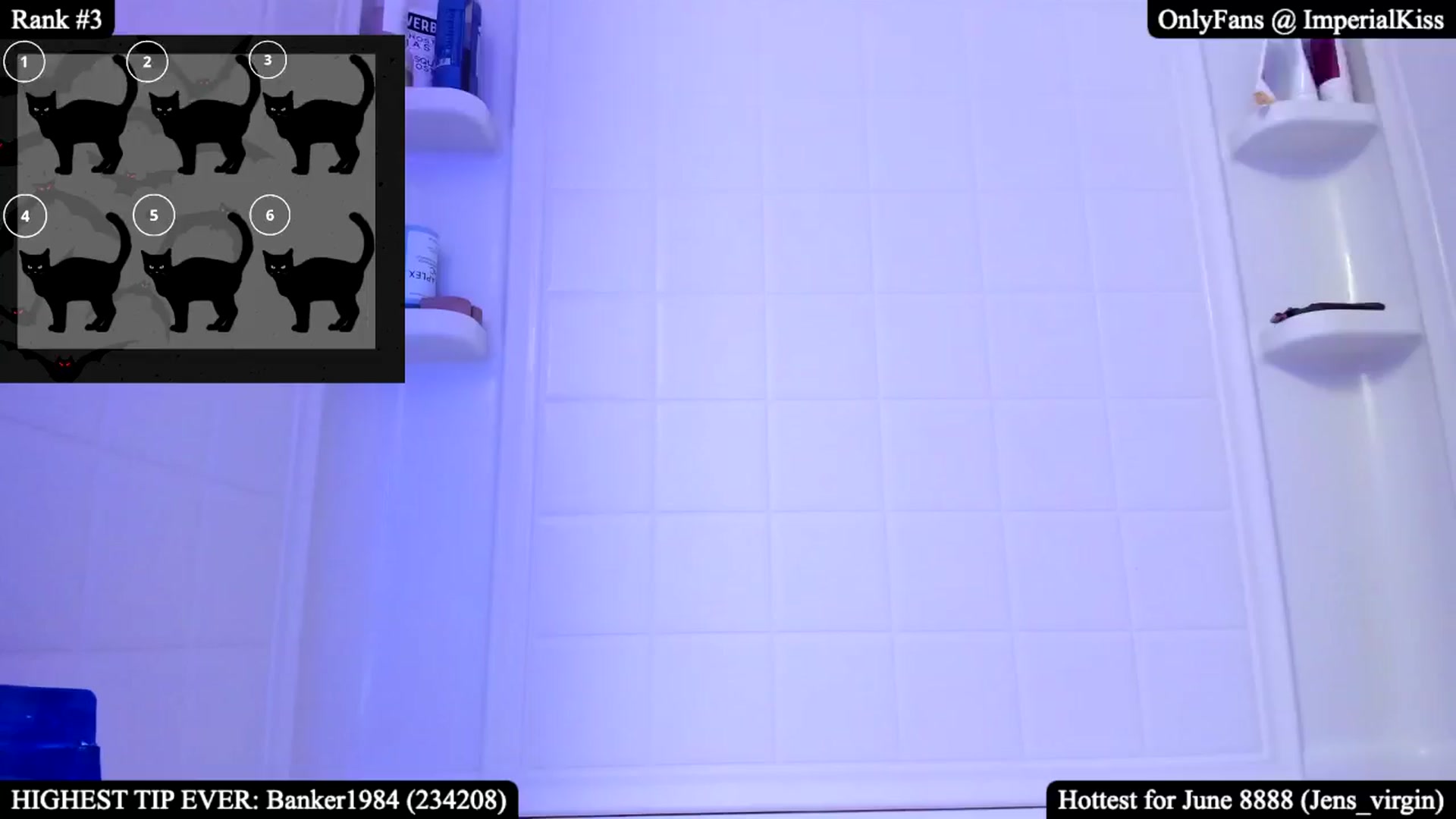 Gallery image thumbnail from ImperialKiss's myfreecams stream on, 06/14/2025, 05:08 image 11 of 20
