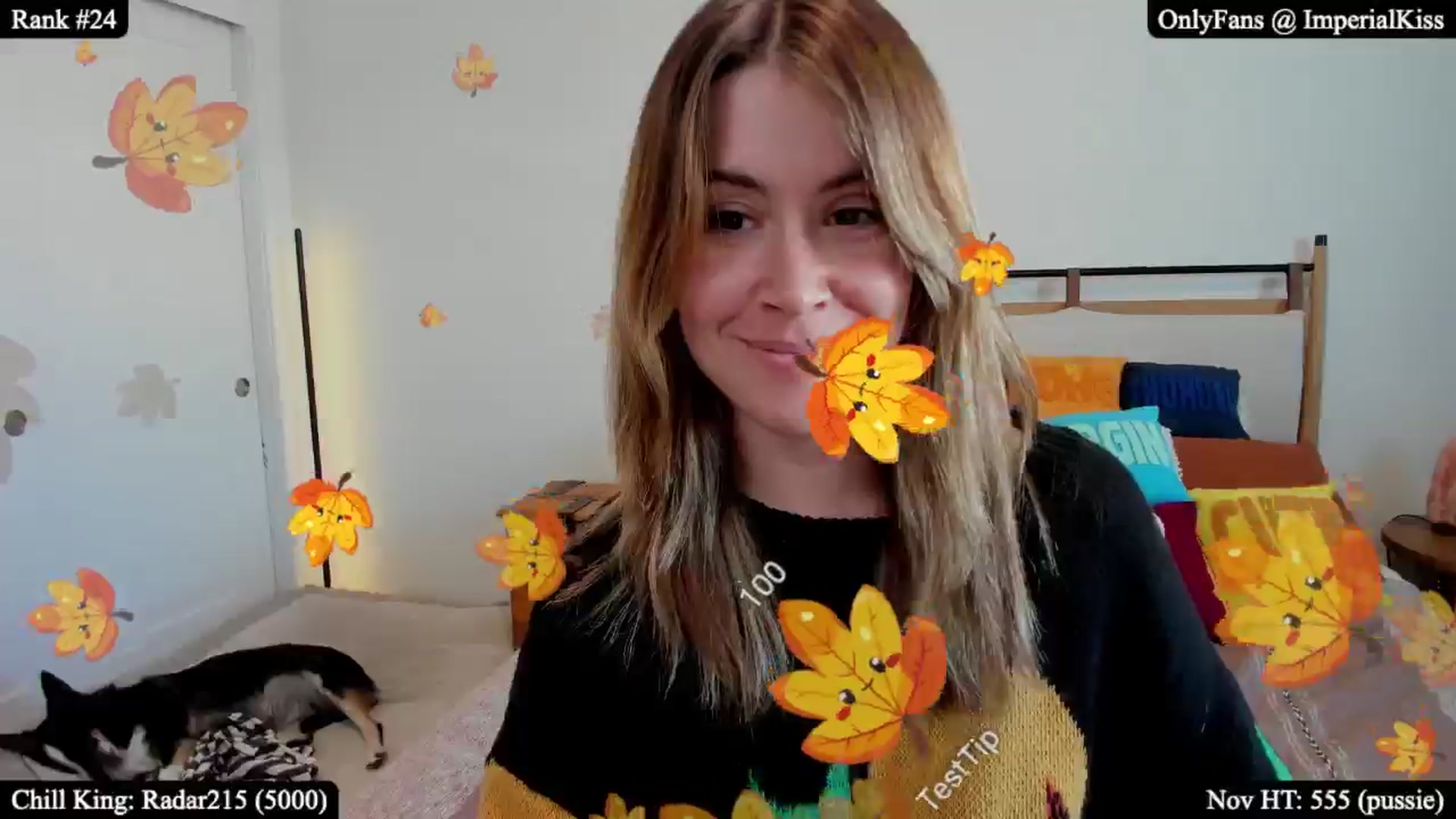 Gallery image thumbnail from ImperialKiss's myfreecams stream on, 11/03/2025, 24:05 image 18 of 20