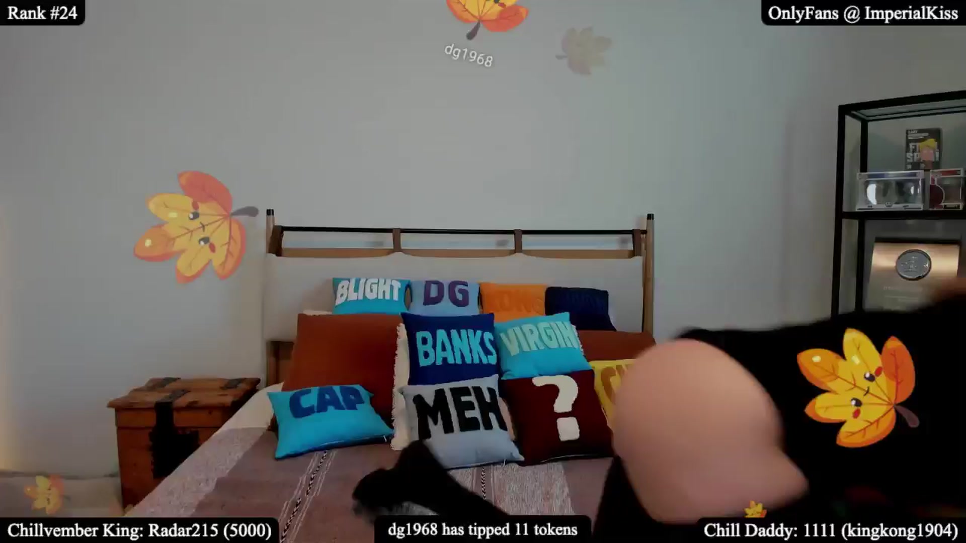 Gallery image thumbnail from ImperialKiss's myfreecams stream on, 11/03/2025, 24:55 image 7 of 20
