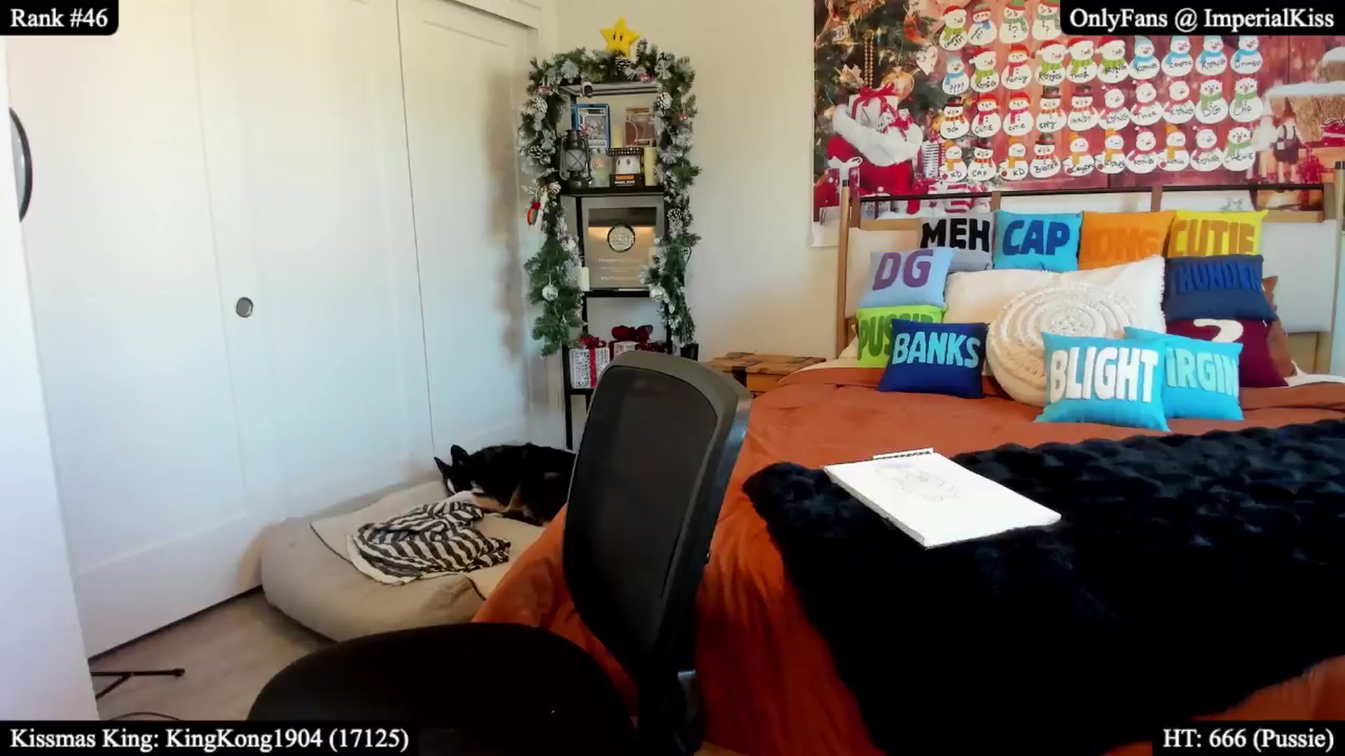 Gallery image thumbnail from ImperialKiss's myfreecams stream on, 12/29/2025, 24:29 image 12 of 20