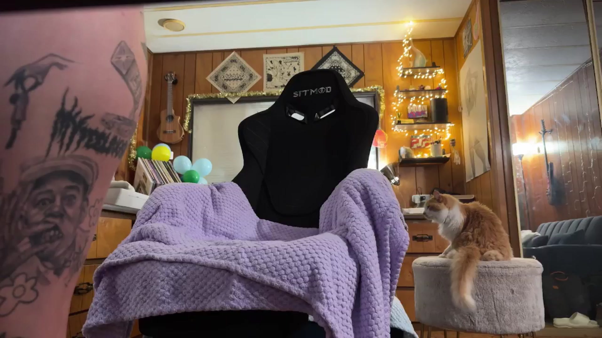Gallery image thumbnail from Incognitobabe's myfreecams stream on, 12/26/2024, 08:39 image 19 of 20