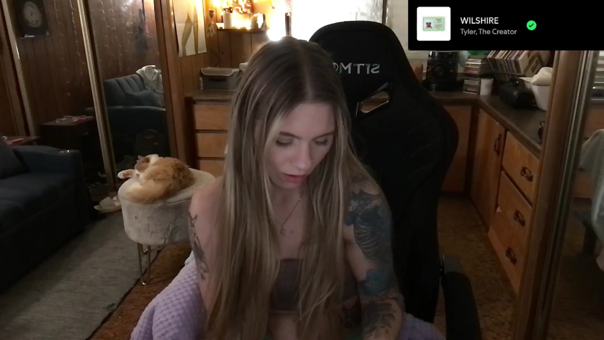 Gallery image thumbnail from Incognitobabe's myfreecams stream on, 12/31/2024, 09:07 image 3 of 20