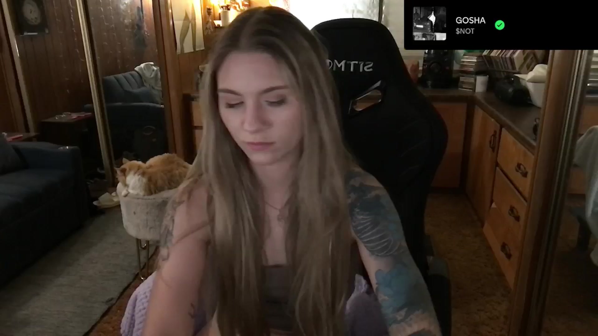 Gallery image thumbnail from Incognitobabe's myfreecams stream on, 12/31/2024, 09:39 image 1 of 20