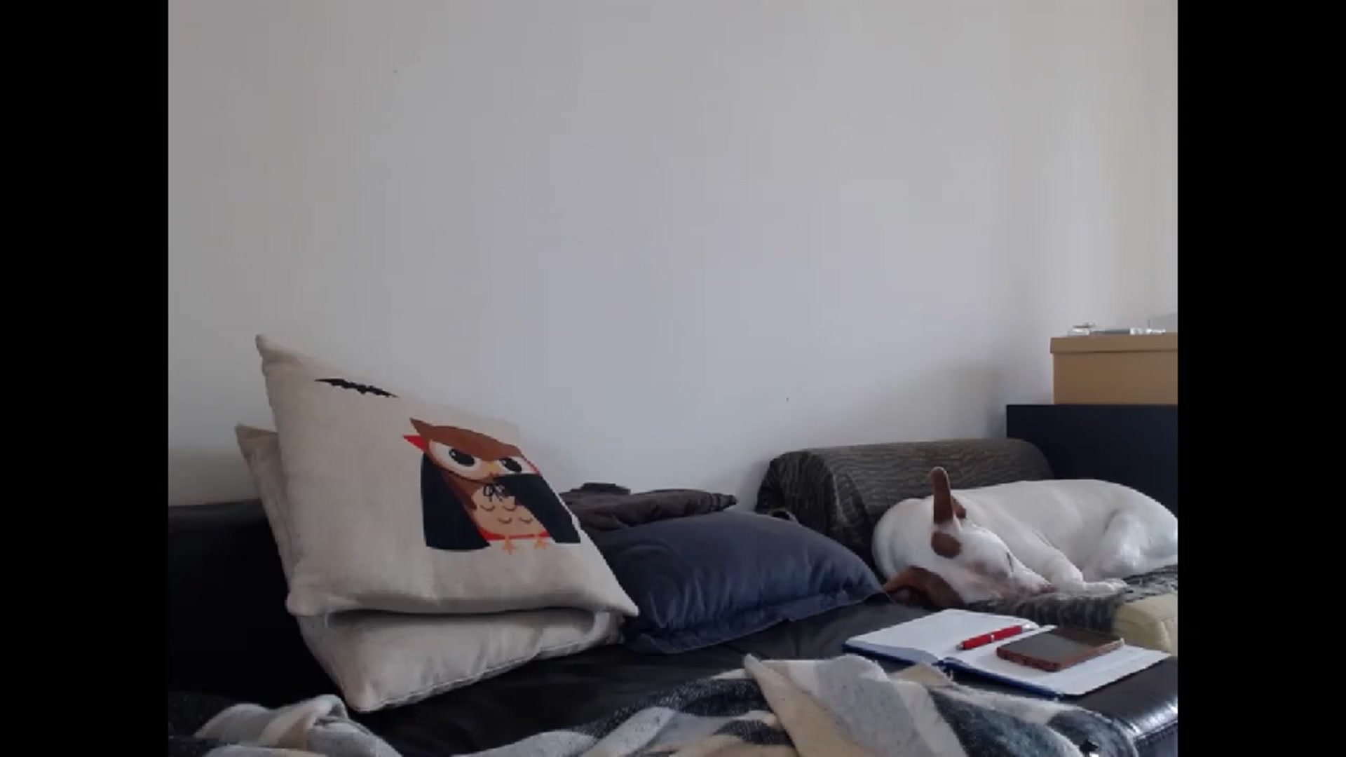 Gallery image thumbnail from IndianaBella's myfreecams stream on, 01/02/2024, 12:11 image 11 of 20