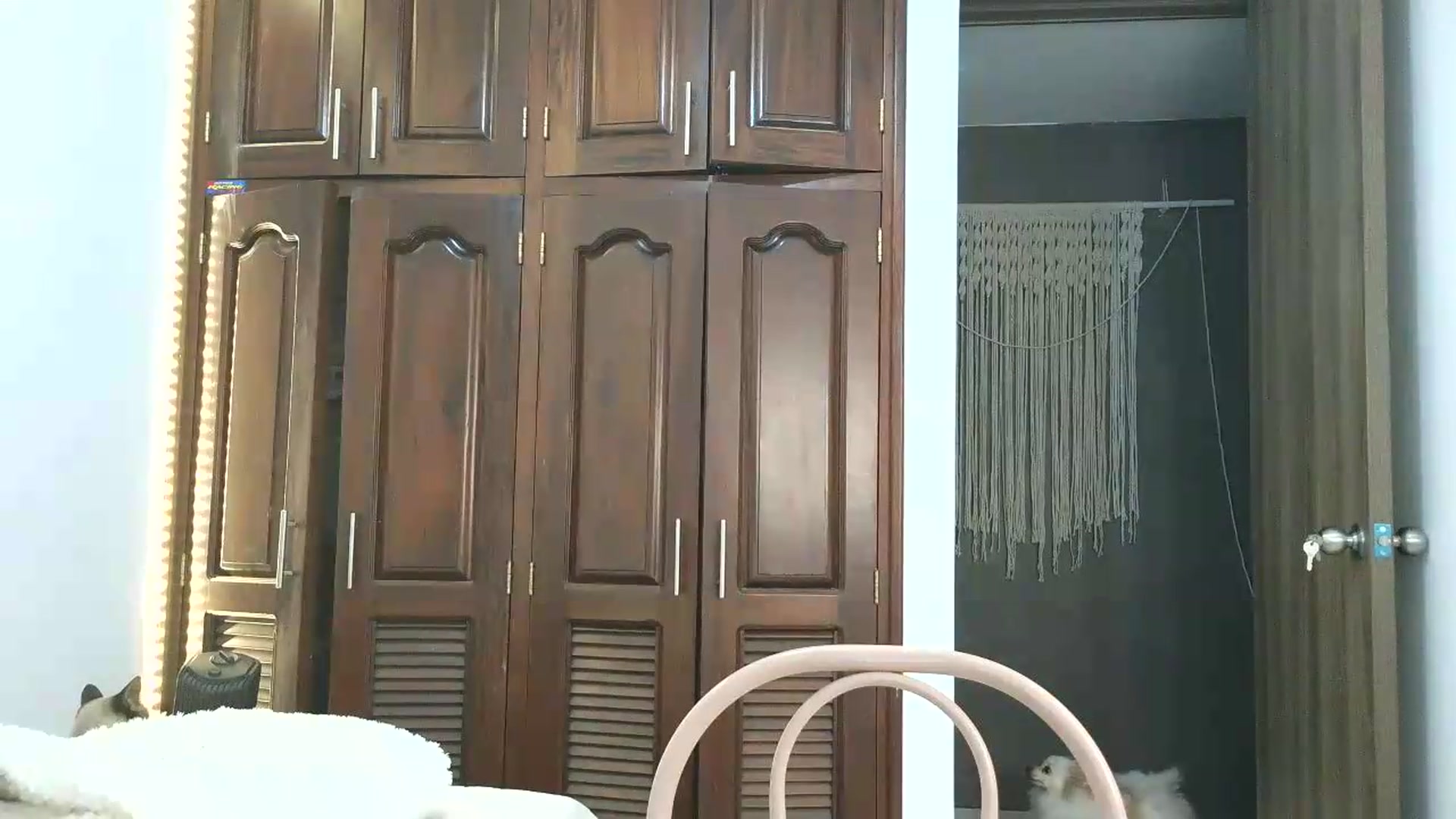 Gallery image thumbnail from InkGirl's myfreecams stream on, 09/11/2026, 23:50 image 6 of 20
