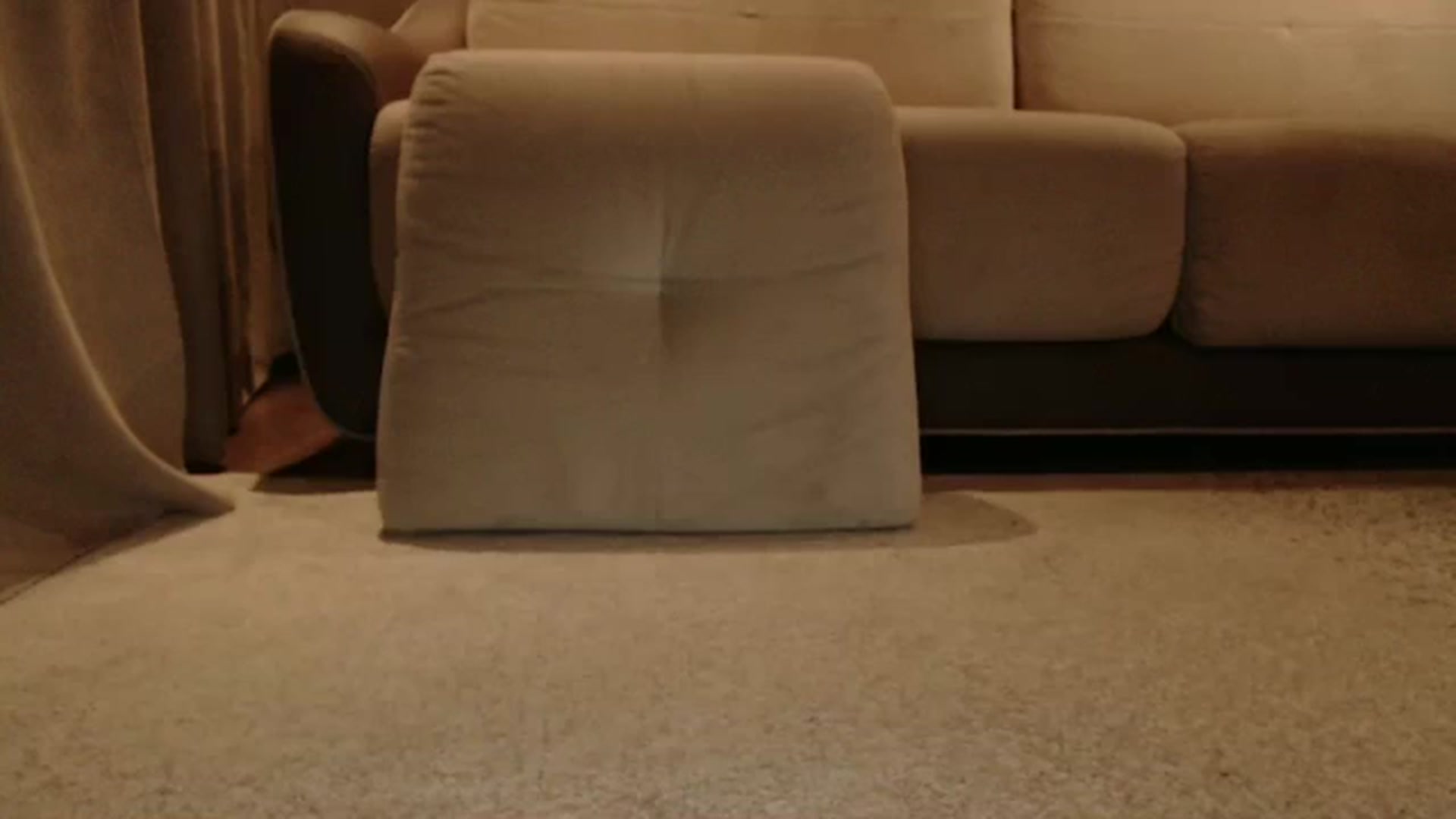 Gallery image thumbnail from InnaVeles's myfreecams stream on, 02/17/2025, 15:48 image 3 of 20