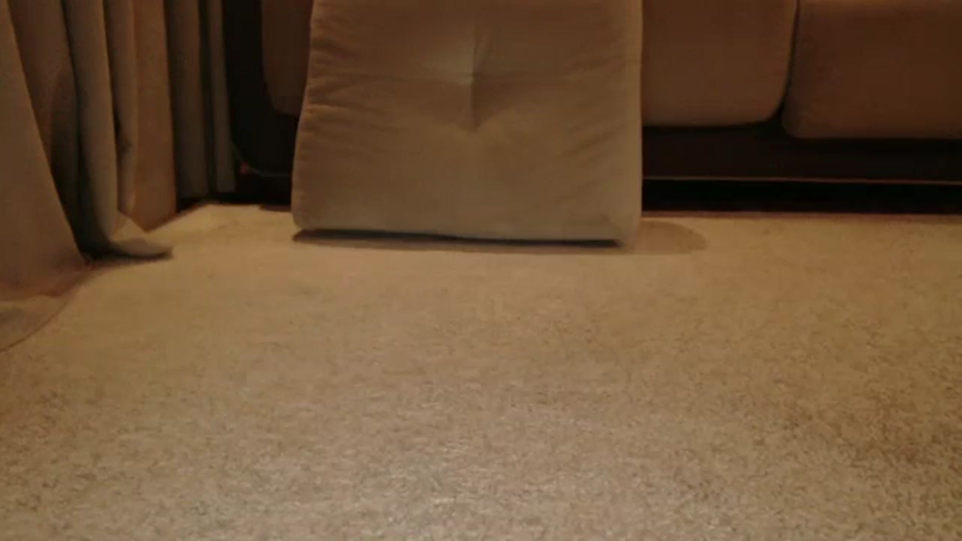 Gallery image thumbnail from InnaVeles's myfreecams stream on, 03/10/2025, 08:01 image 4 of 20
