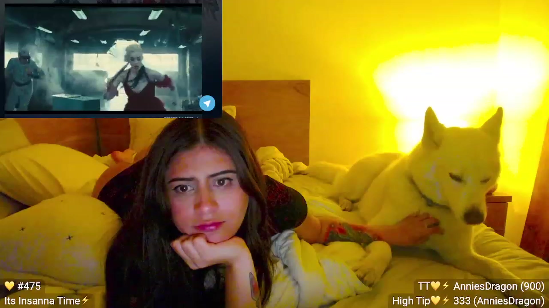 Gallery image thumbnail from Insanna's myfreecams stream on, 02/06/2023, 24:03 image 14 of 20